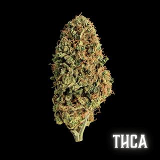 THCA Flower - Permanent Marker