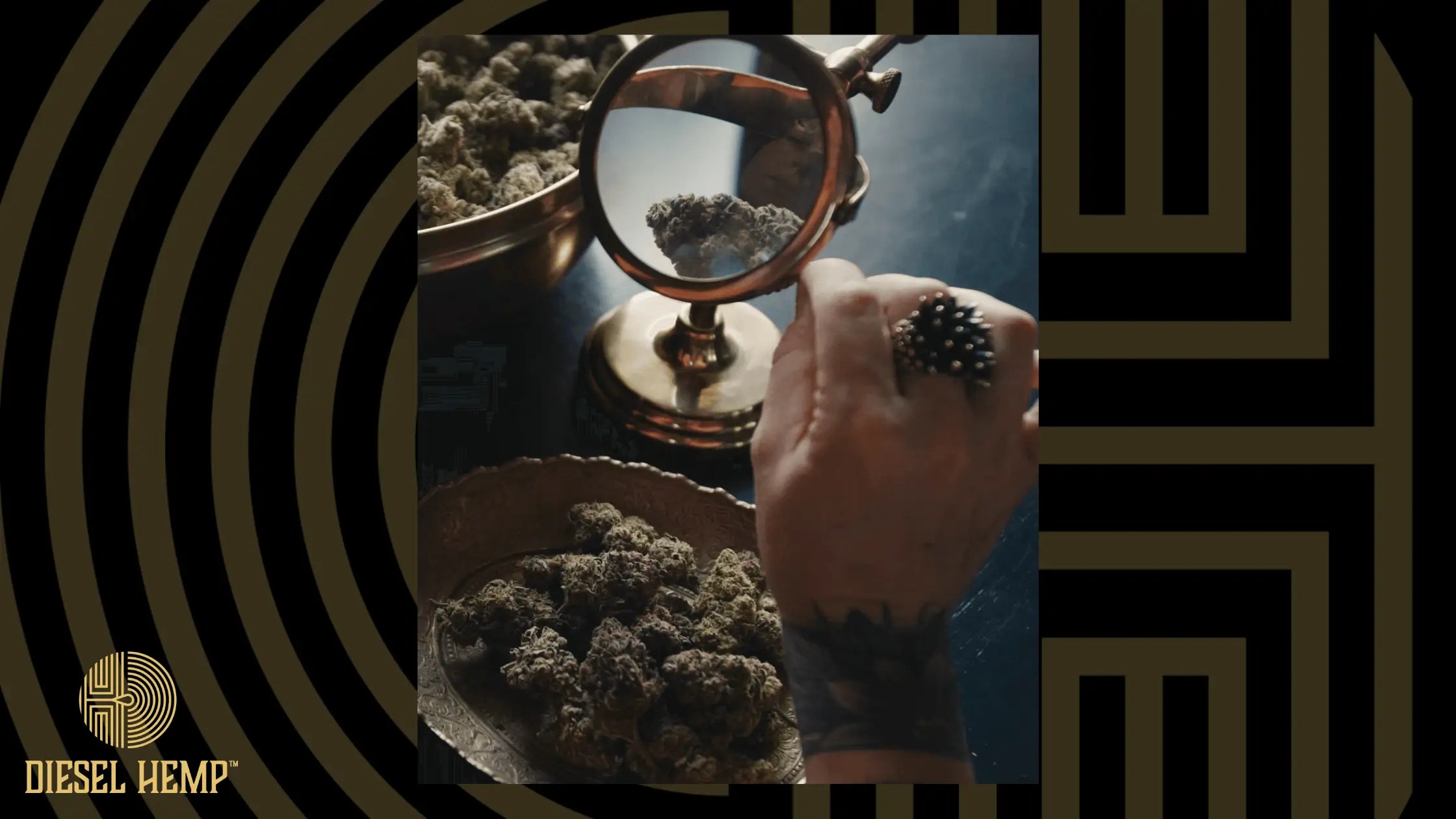 Hemp Flower vs. CBD Flower: What's the Difference?