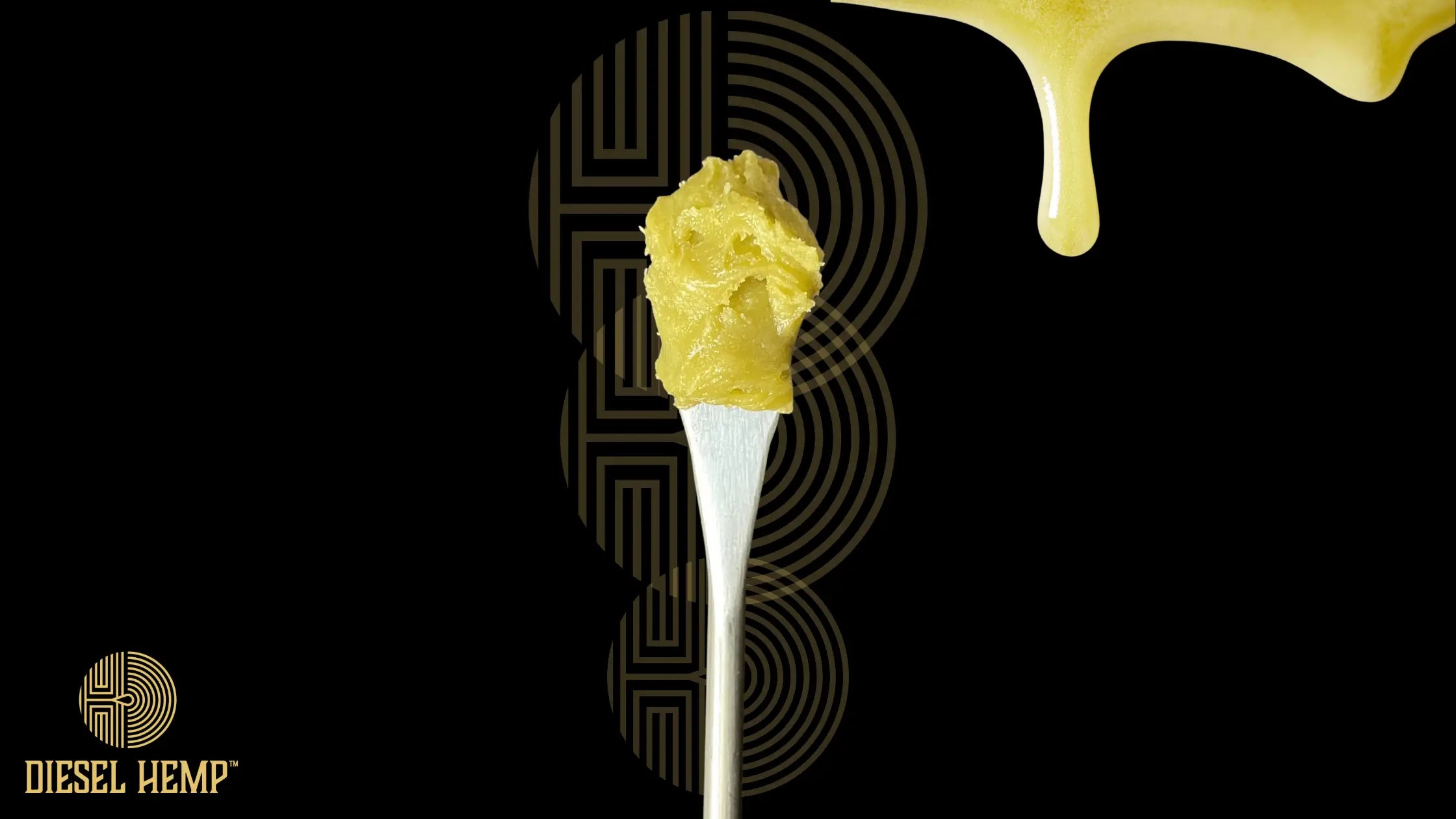 What Is Live Rosin? The Complete Guide (Plus Live Rosin vs. Live Resin)