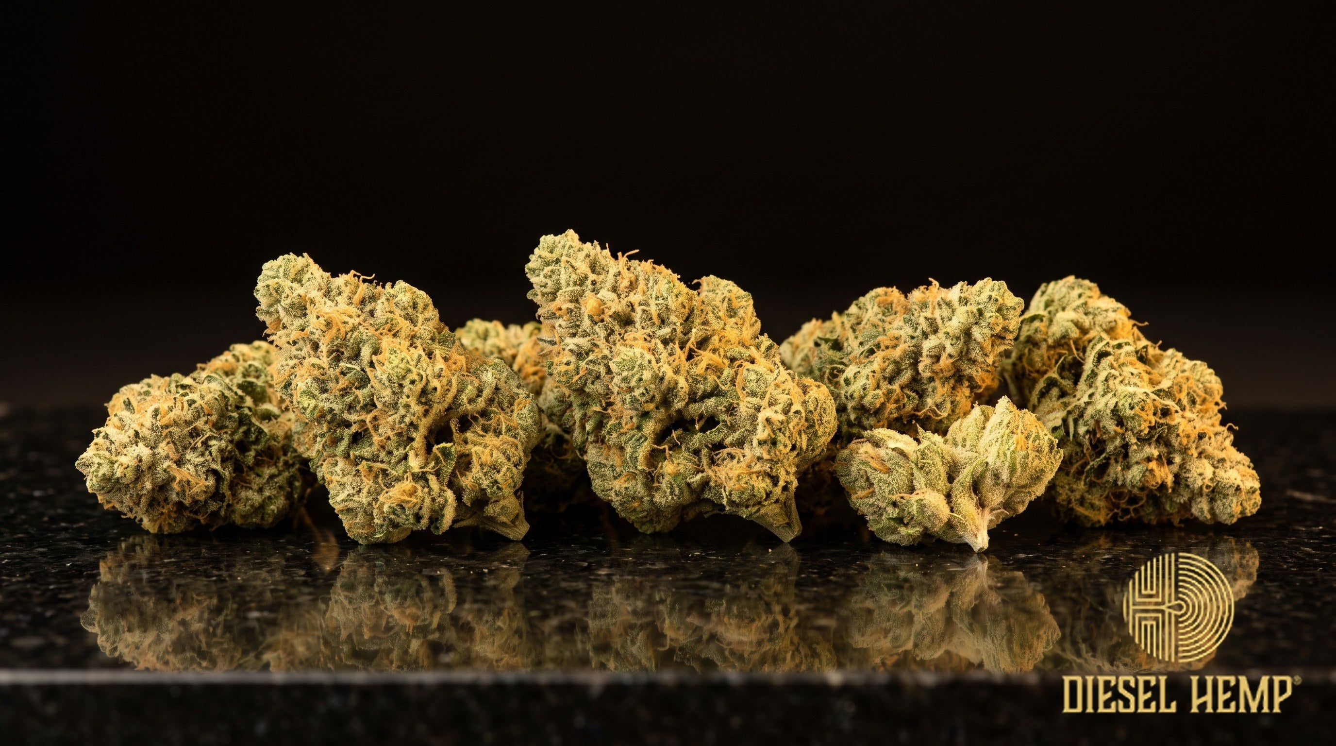 Afternoon Delight strain cannabis buds in bright neon green with thin orange pistils and a dense coat of sticky trichomes on a black background | Diesel Hemp