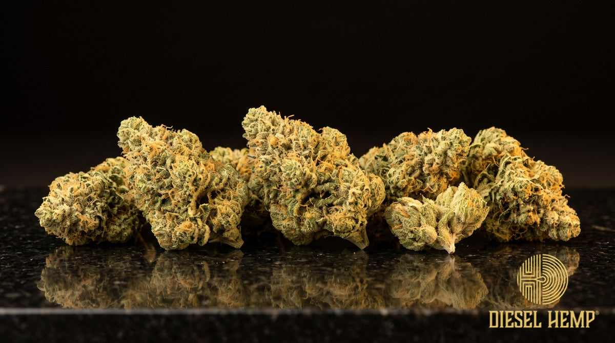 Afternoon Delight strain cannabis buds in bright neon green with thin orange pistils and a dense coat of sticky trichomes on a black background | Diesel Hemp