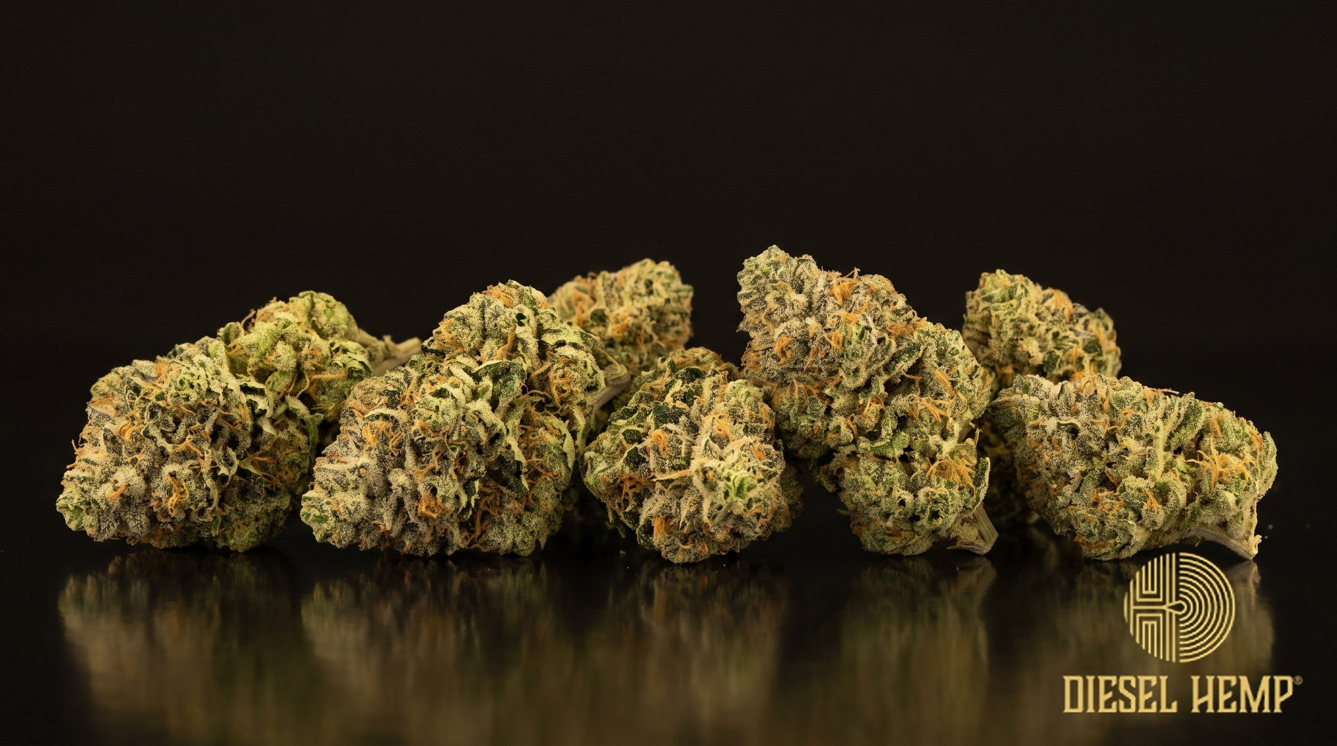 Alien OG strain cannabis buds, minty lime-green with thin orange pistils and a heavy coat of amber-tinged trichomes on a black background | Diesel Hemp