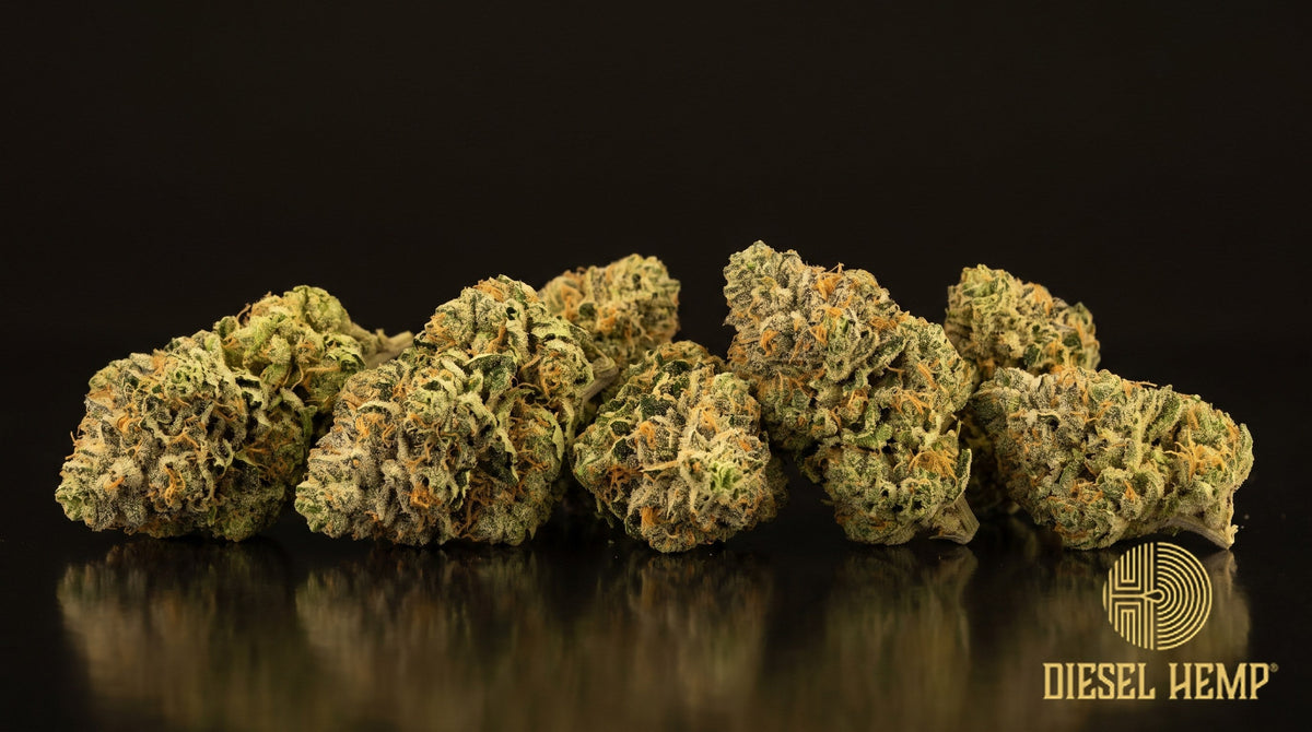 Alien OG strain cannabis buds, minty lime-green with thin orange pistils and a heavy coat of amber-tinged trichomes on a black background | Diesel Hemp