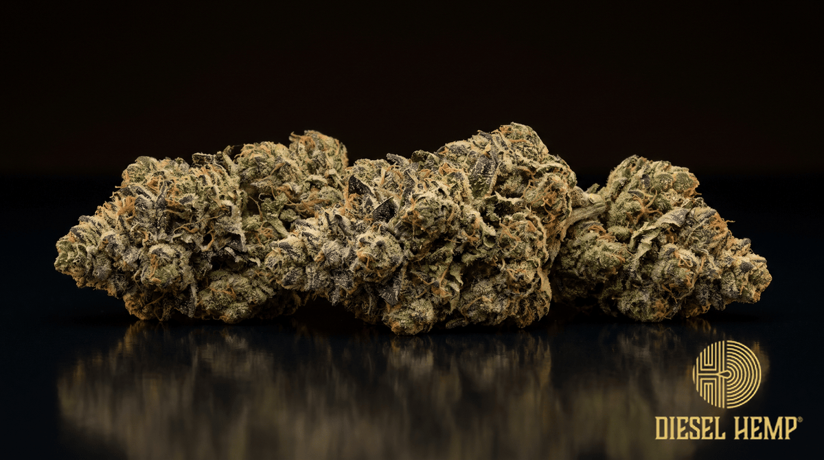 Animal Face strain cannabis flower buds with olive-green color, copper pistils and heavy trichome frost on a black background | Diesel Hemp