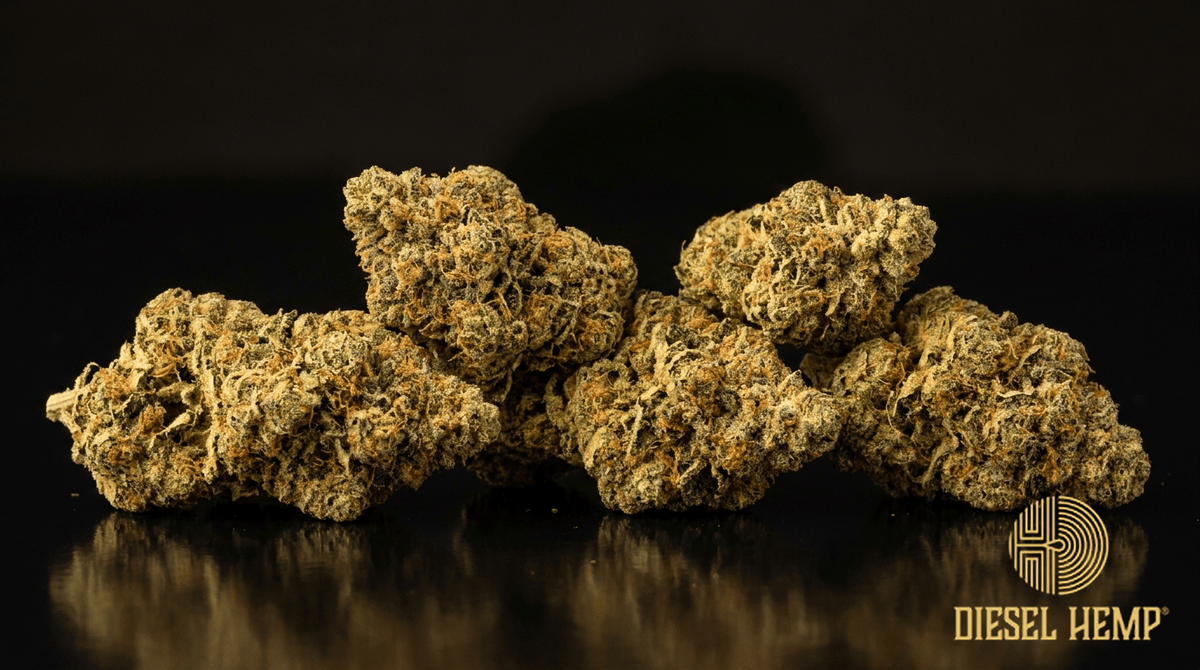 Apple Fritter cannabis flower buds on black background — Diesel Hemp