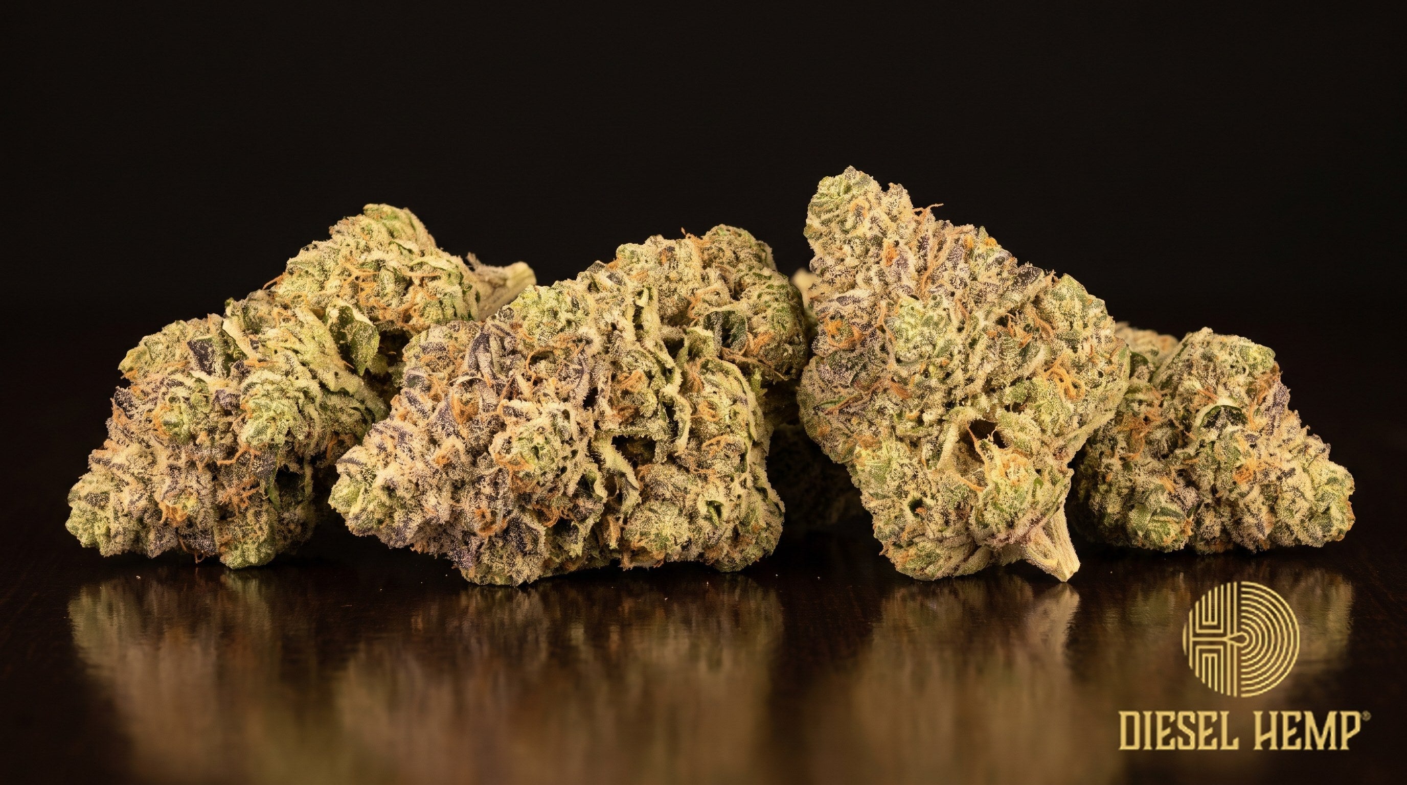 Apple Tartz strain cannabis buds, dense and lime-to-forest green with orange pistils and a heavy coat of trichomes on a black background | Diesel Hemp
