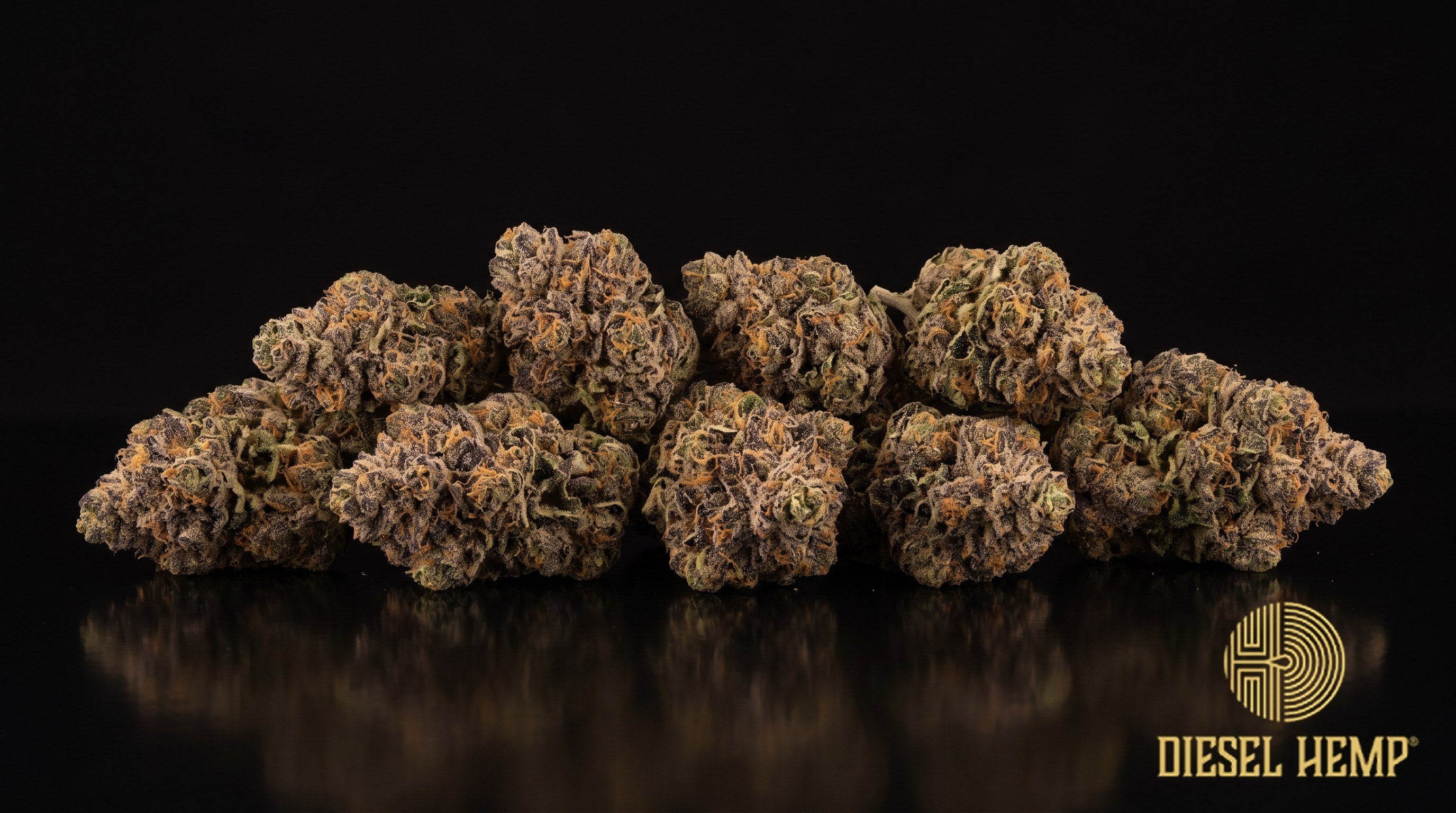 Area 41 strain cannabis buds in lime and forest green with orange pistils and a heavy, blue-white trichome frost on a black background | Diesel Hemp