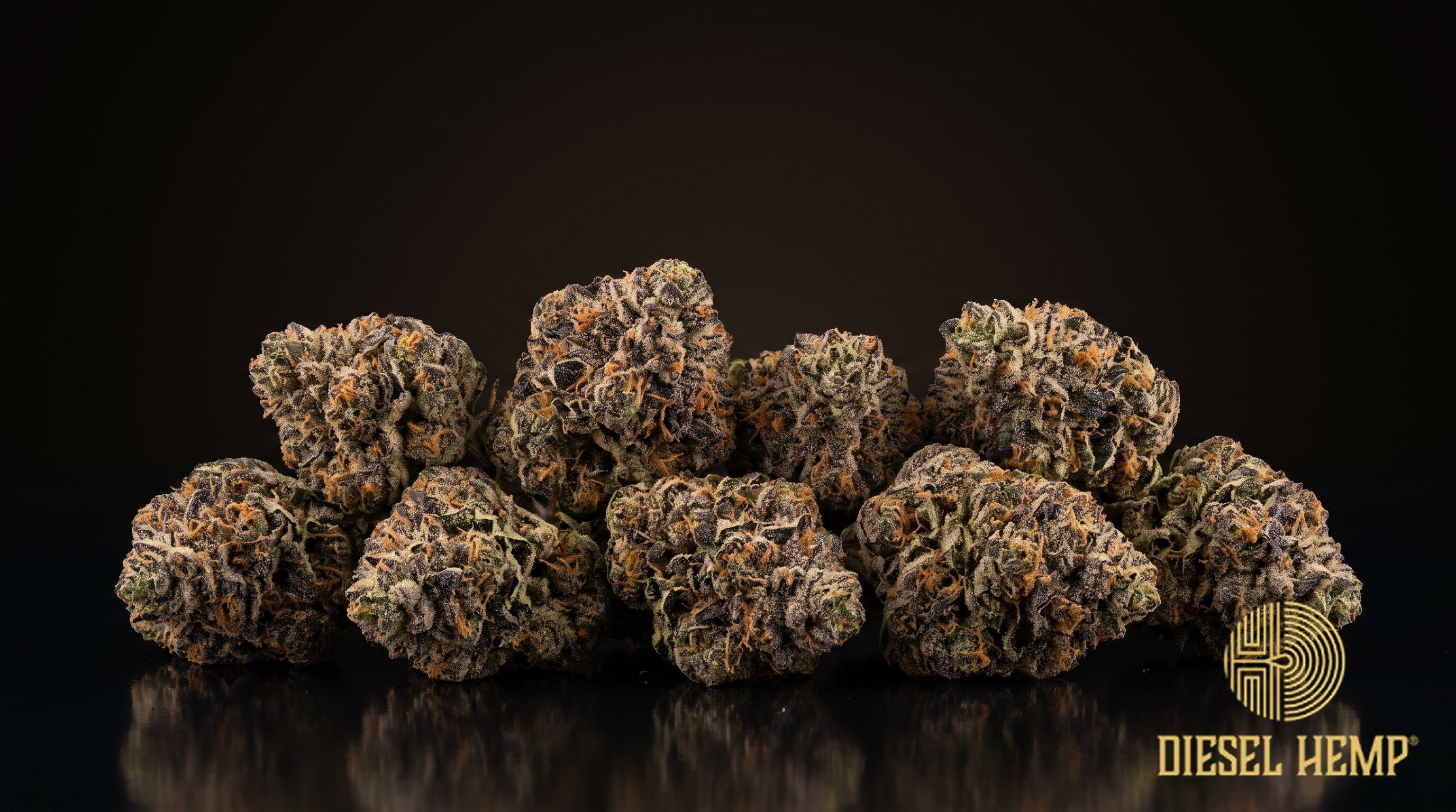 Bacio Gelato strain cannabis buds in deep green with purple flecks, orange pistils and a heavy trichome frost on a black background | Diesel Hemp