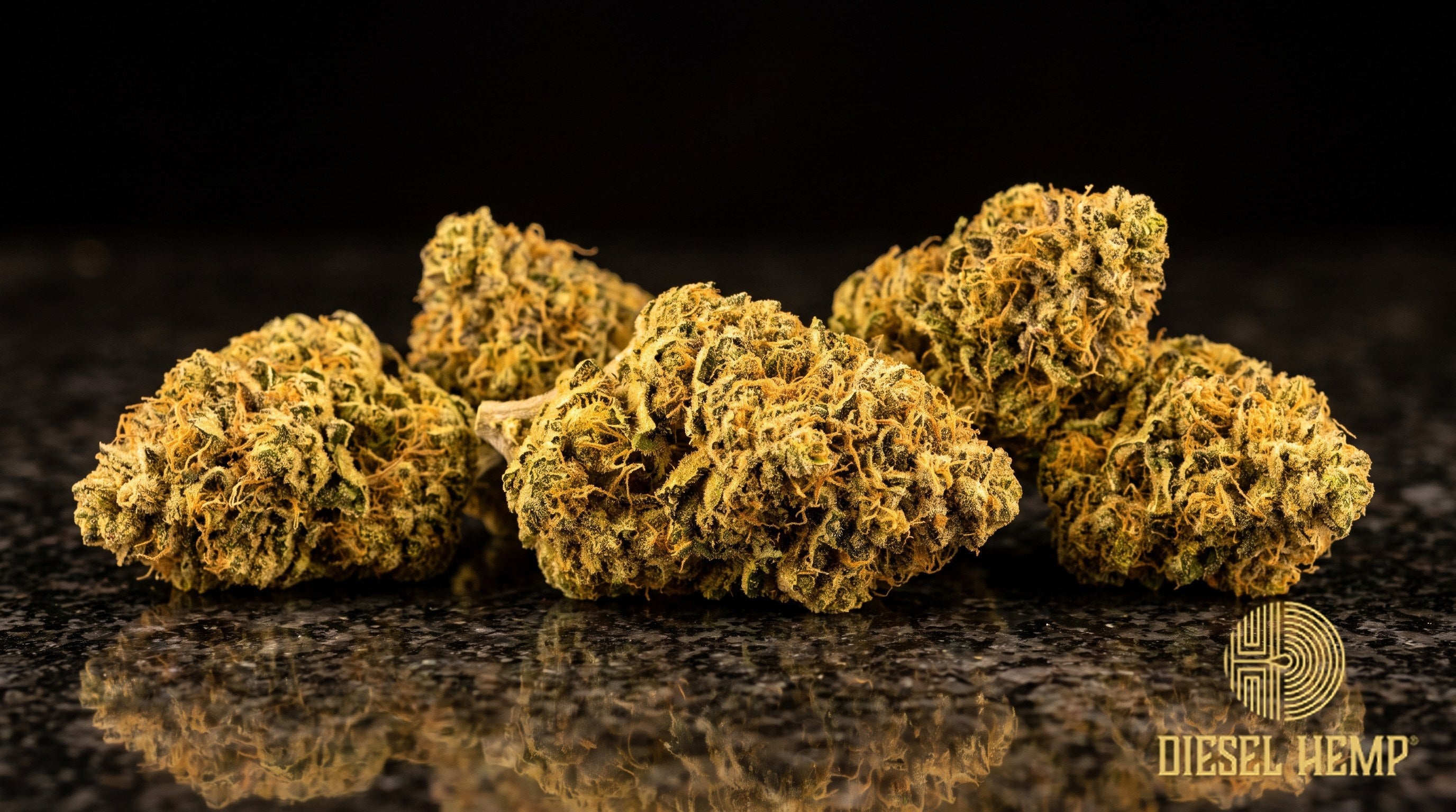 Baklava strain cannabis buds in neon green with purple hues, thin orange pistils and a heavy white trichome frost on a black background | Diesel Hemp