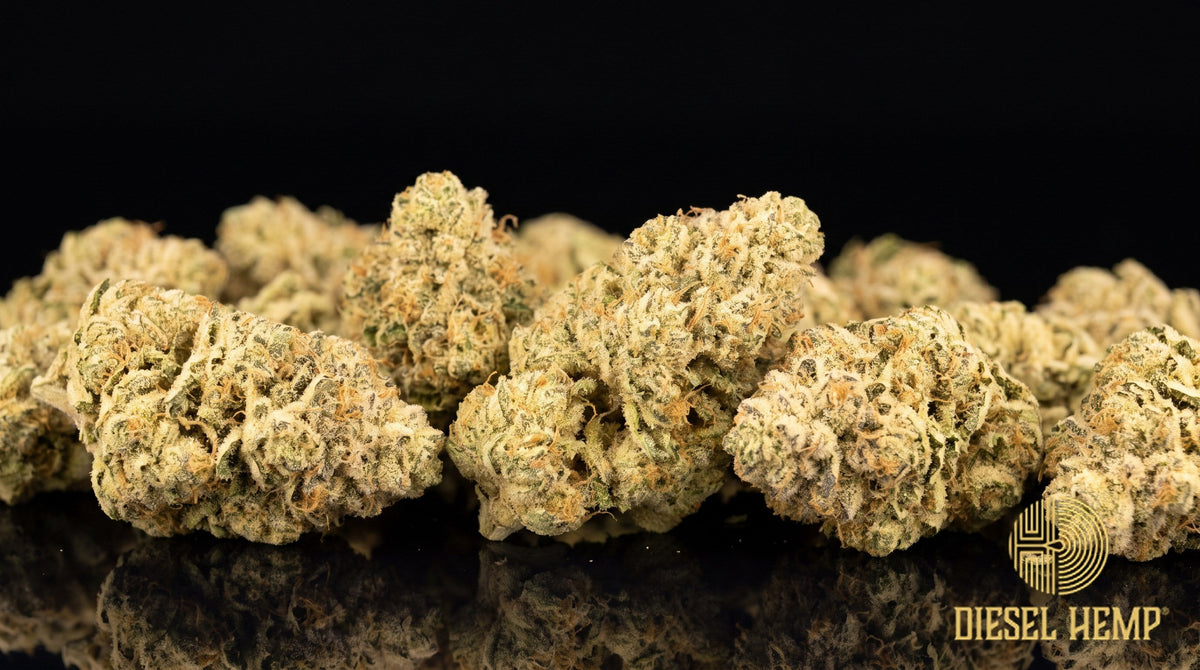 Banana Cream strain cannabis buds in neon lime green with gold undertones, dark orange pistils and a sugary trichome frost on a black background | Diesel Hemp