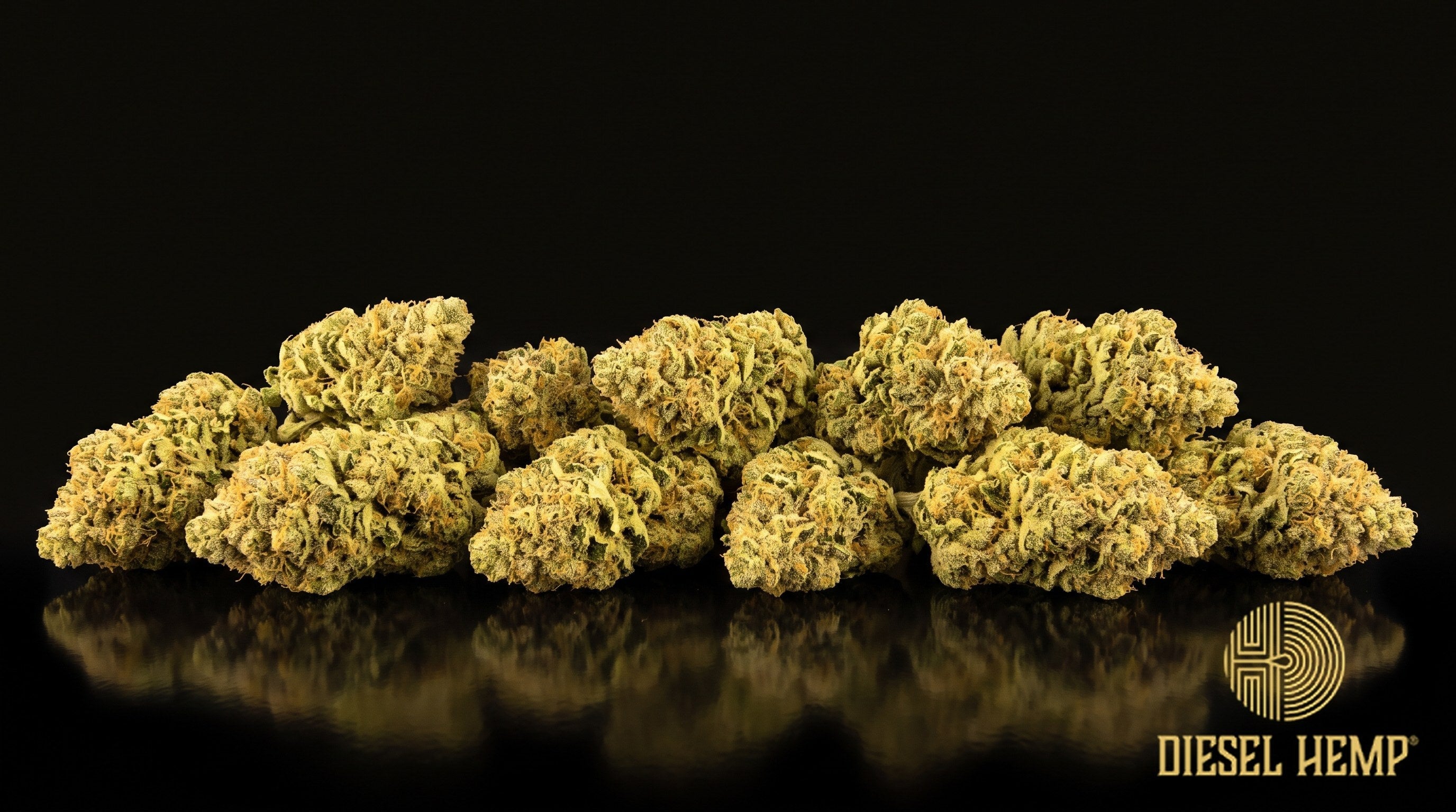 Banana Kush strain cannabis buds in lime and yellow-green with bright orange pistils and white trichome frost on a black background | Diesel Hemp