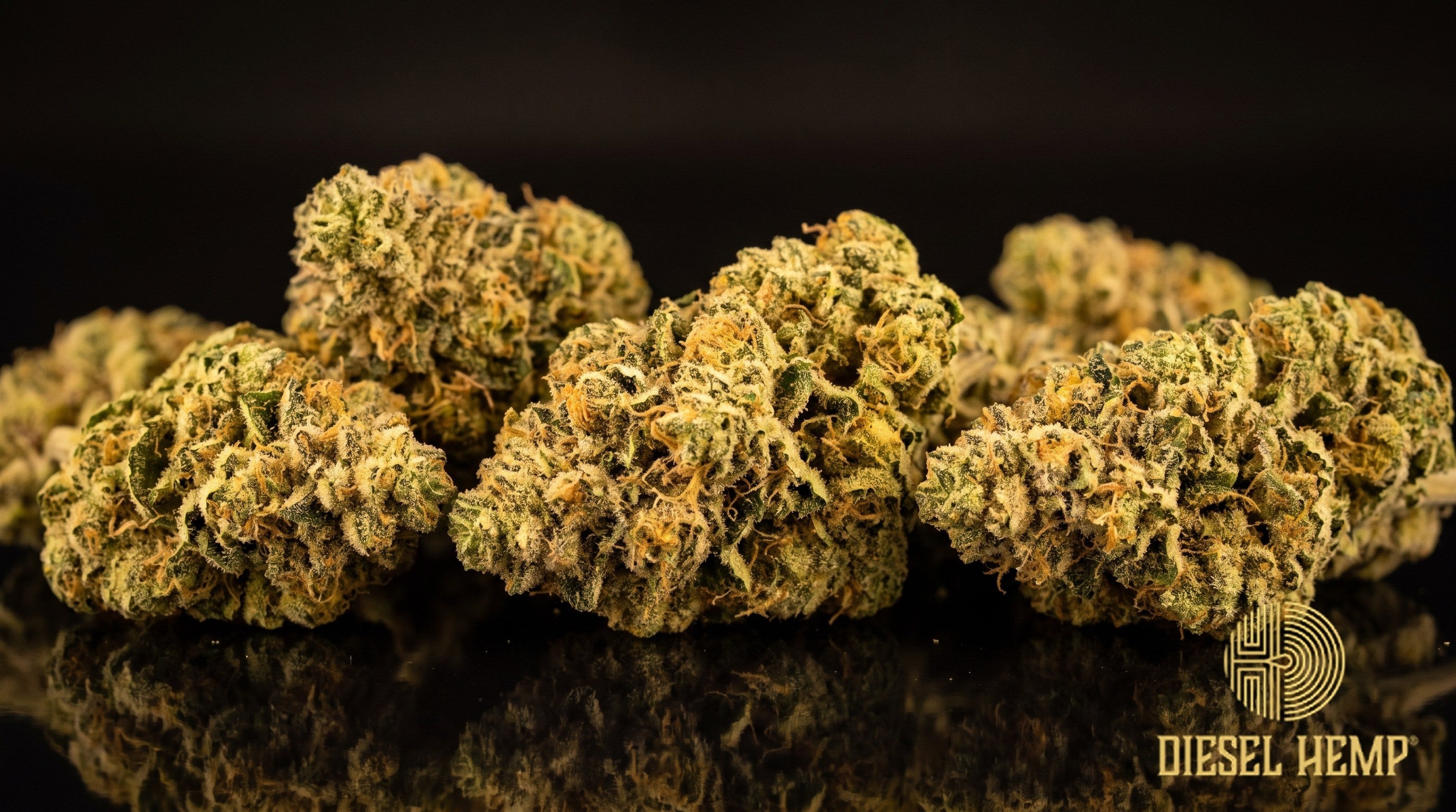 Banana OG strain cannabis buds in light green with golden undertones, orange pistils and dense trichome frost on a black background | Diesel Hemp