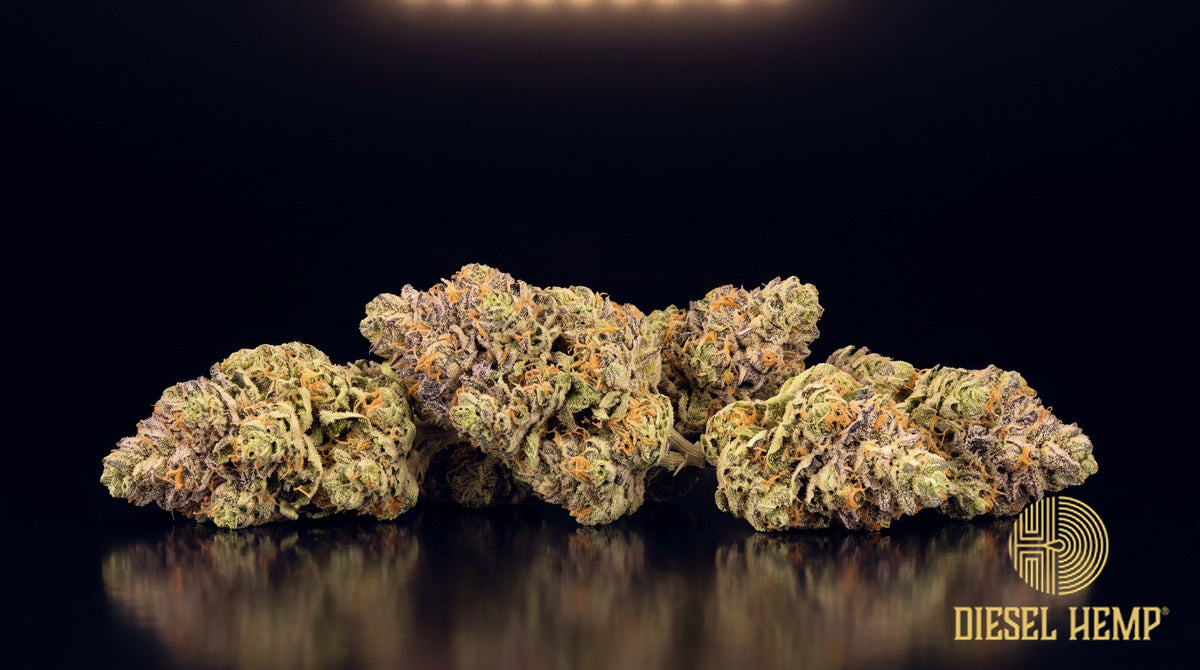 Banana Punch strain cannabis buds in rounded olive green with purple undertones, amber-orange pistils and a dense trichome frost on a black background | Diesel Hemp