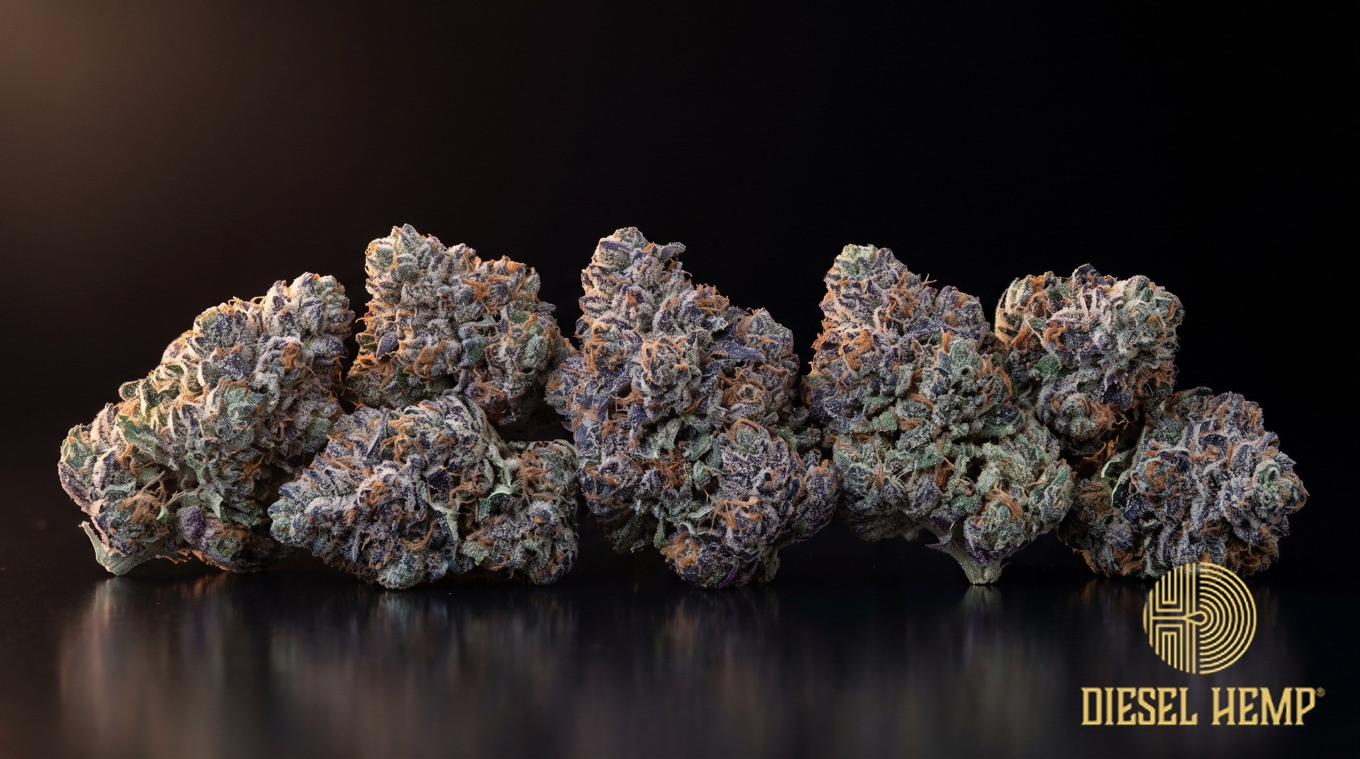Berry Pie strain cannabis buds in lime to emerald green with bright orange pistils and a sugary coat of trichomes on a black background | Diesel Hemp