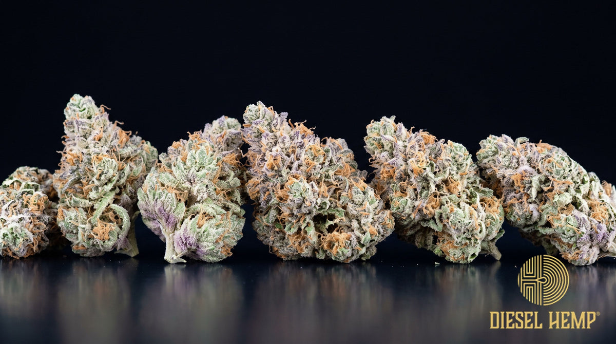 Birthday Cake strain cannabis buds, dense light forest-green nugs with sparse orange pistils under a heavy frost of trichomes on a black background | Diesel Hemp