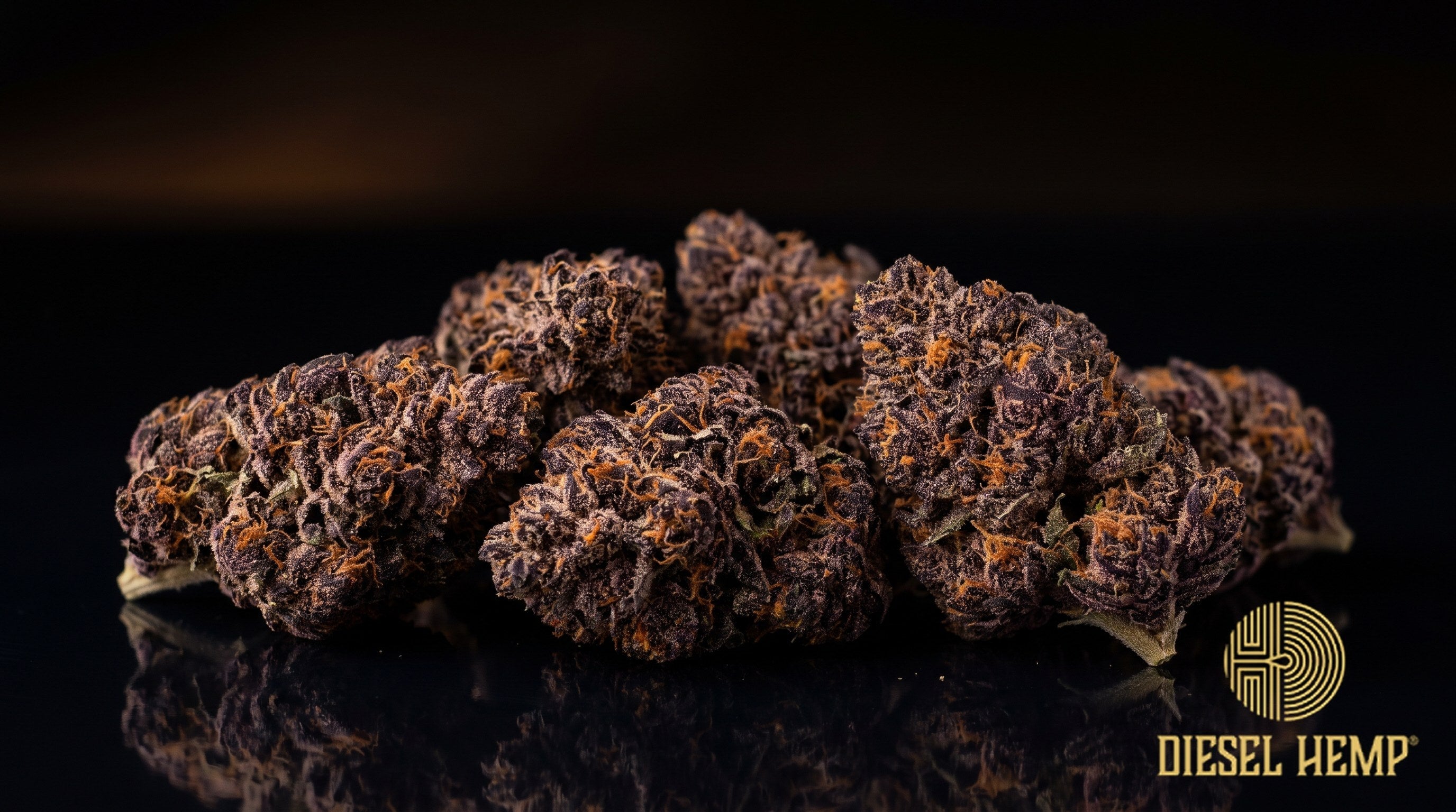 Black Amber strain cannabis buds in deep olive green with dark purple shading, orange pistils and amber-tinged trichome frost on a black background | Diesel Hemp