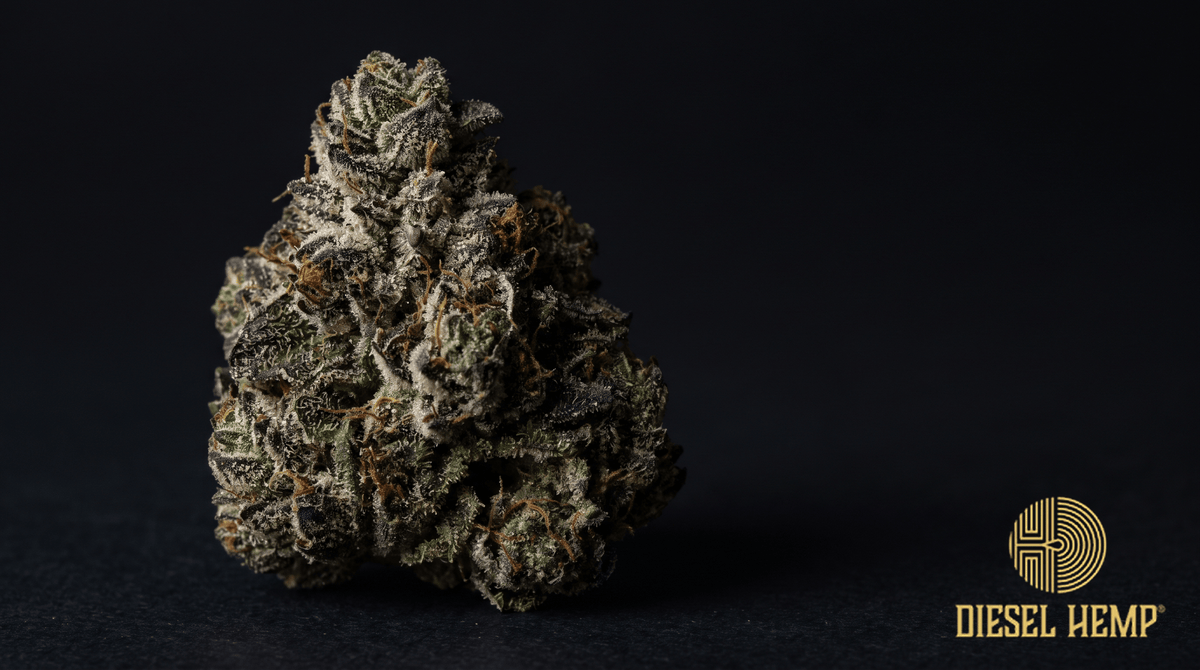 Black Cherry Gelato strain THCA flower bud macro - Diesel Hemp
