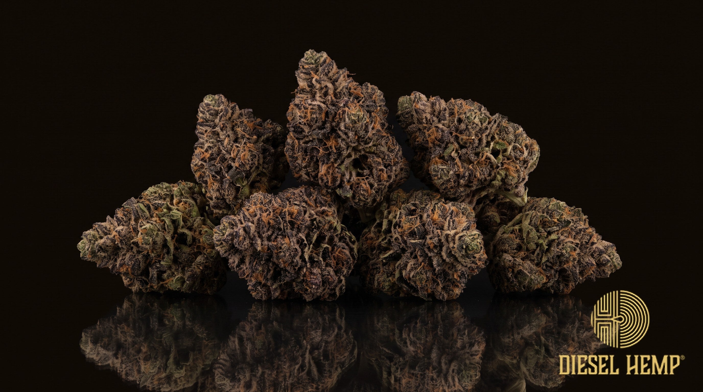 Black Diamond strain cannabis buds, dense deep-purple to near-black nugs with kelly-green edges, light orange pistils and a glittering white trichome coat on a black background | Diesel Hemp