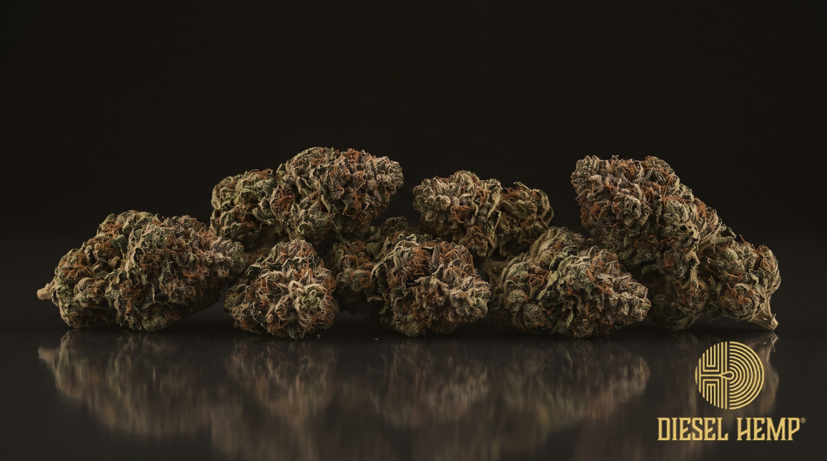 Black Widow strain cannabis buds, bright green conical nugs with orange pistils under a heavy, snow-white trichome coat on a black background | Diesel Hemp