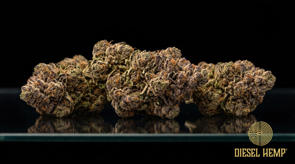 Blockberry strain cannabis buds in olive green with dark purple hues, thick orange pistils and a heavy frost of trichomes on a black background | Diesel Hemp