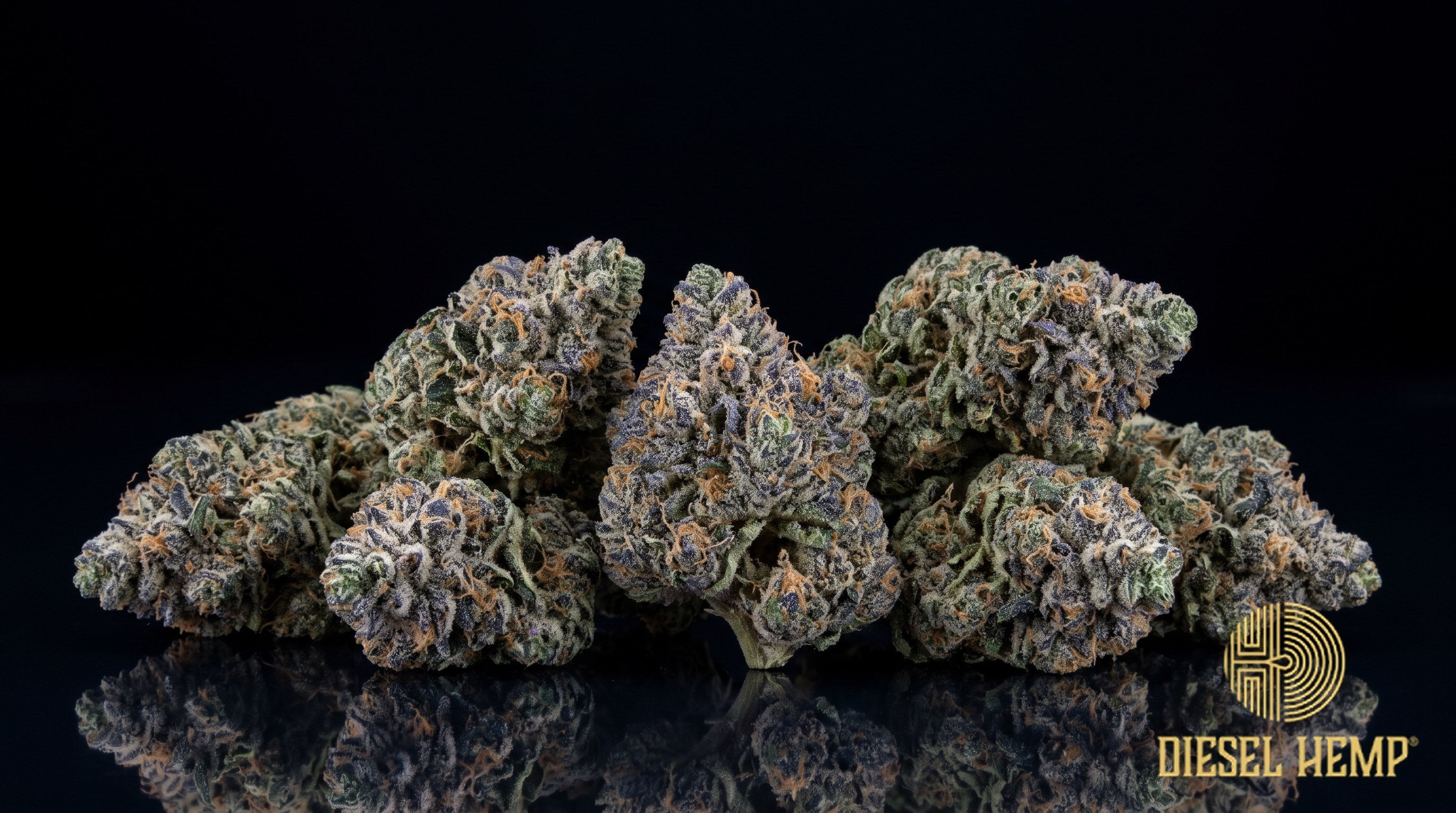 Blue Andeze strain cannabis buds in deep green with purple tones, orange pistils and a heavy silvery trichome frost on a black background | Diesel Hemp