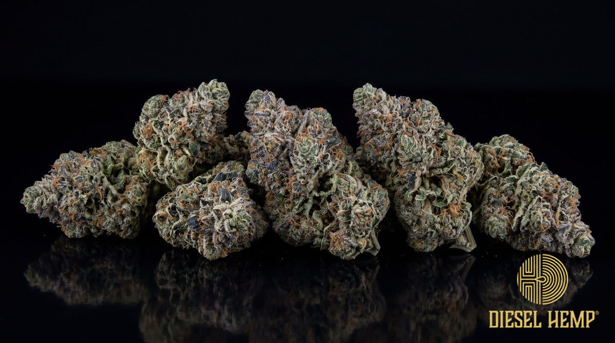 Blue Cookies strain cannabis buds, dense and forest green with blue-purple hues, orange pistils and a heavy trichome frost on a black background | Diesel Hemp