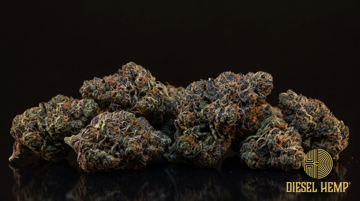 Blue Gelato strain cannabis buds in neon green with blue-purple hues, long orange pistils and heavy trichome frost on a black background | Diesel Hemp
