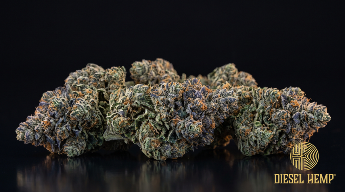 Blue Lobster strain cannabis buds in deep green tinged with periwinkle blue-violet, orange pistils and heavy trichome frost on a black background | Diesel Hemp