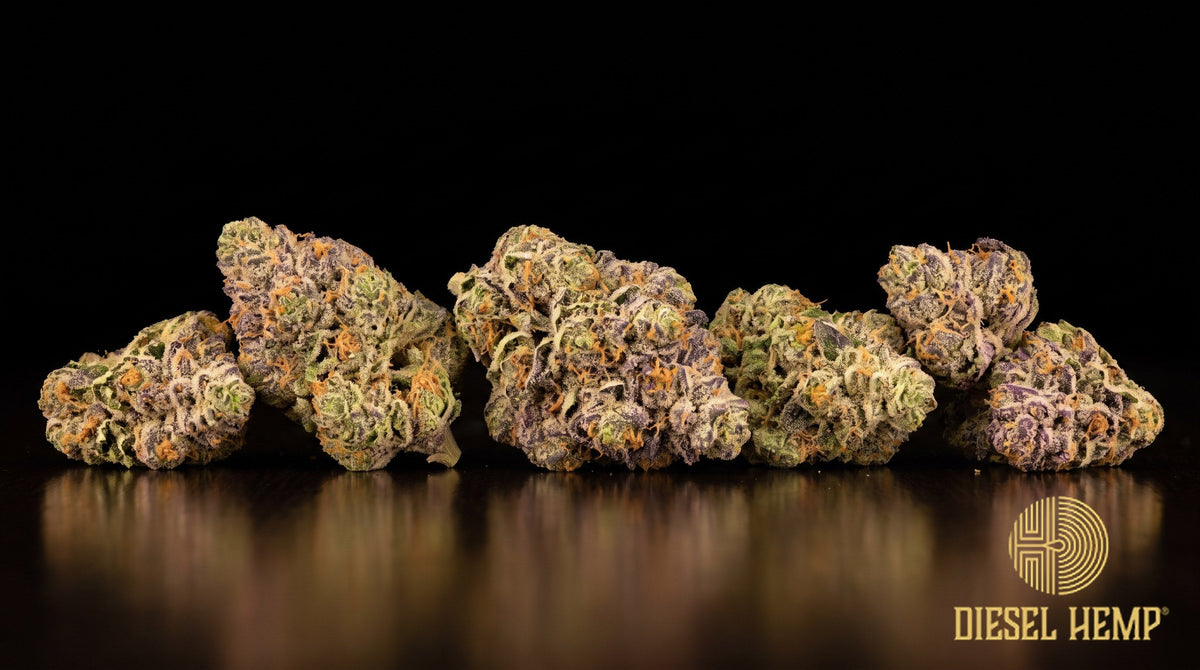 Blue Nerds strain cannabis buds in forest green with purple undertones, orange pistils and a heavy trichome frost on a black background | Diesel Hemp