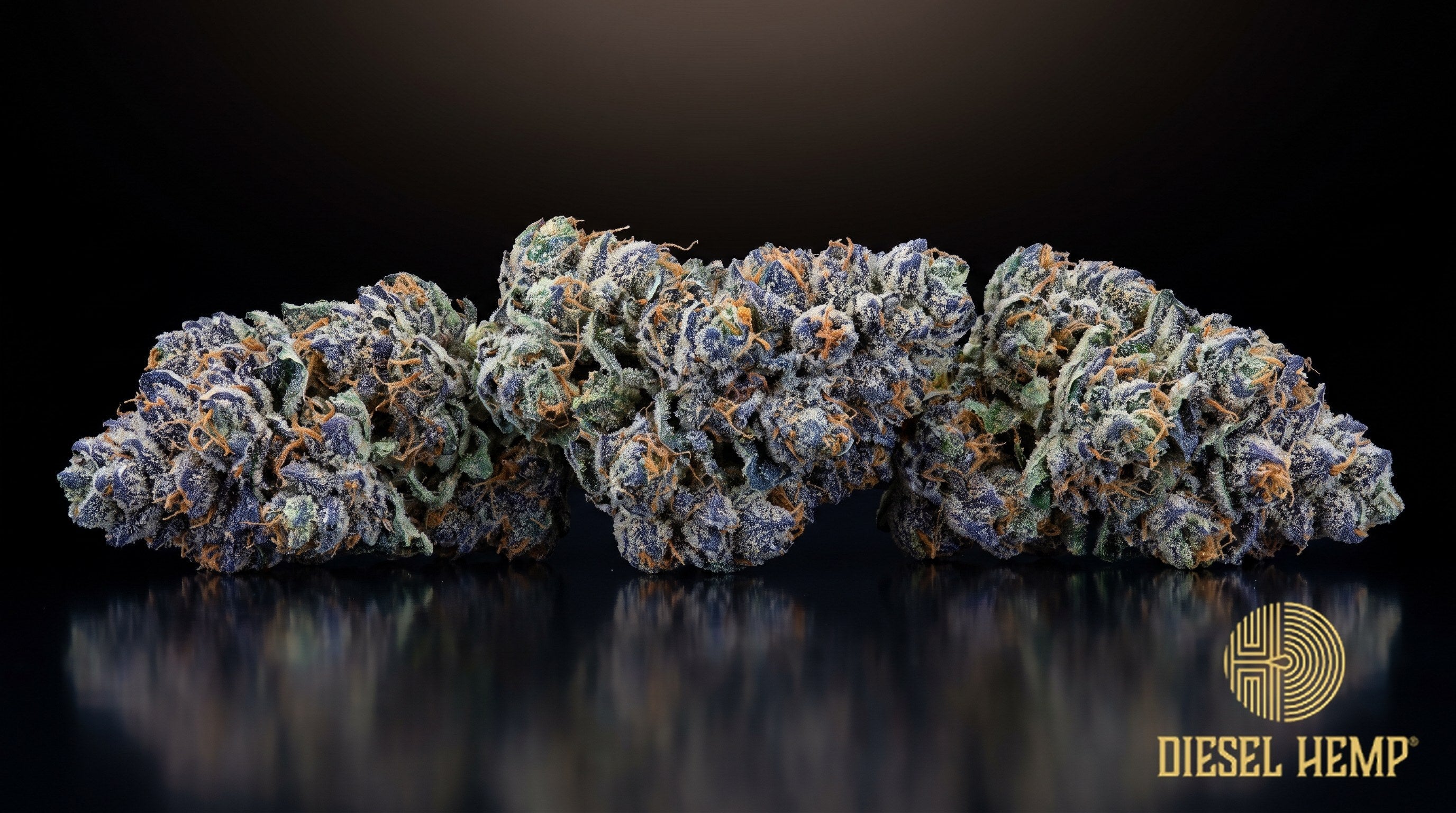 Blue Razz strain cannabis buds in emerald green with blue-purple undertones, thin orange pistils and a frosty trichome coat on a black background | Diesel Hemp