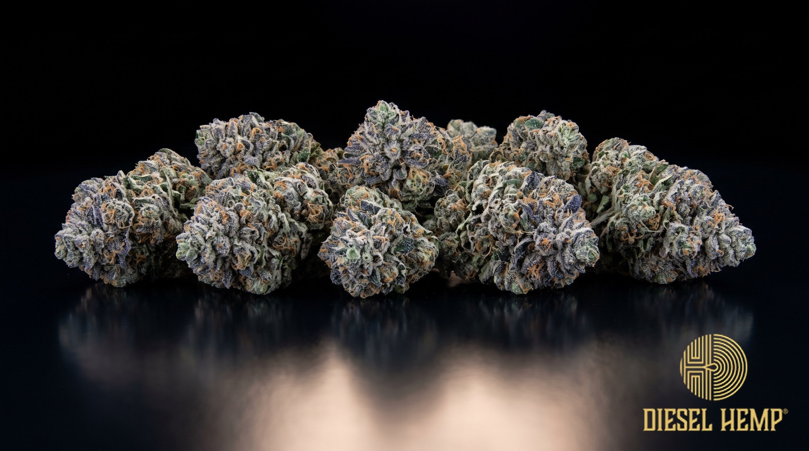 Blue Runtz strain cannabis buds in neon green with blue and purple undertones, thin orange hairs and heavy trichome frost on a black background | Diesel Hemp