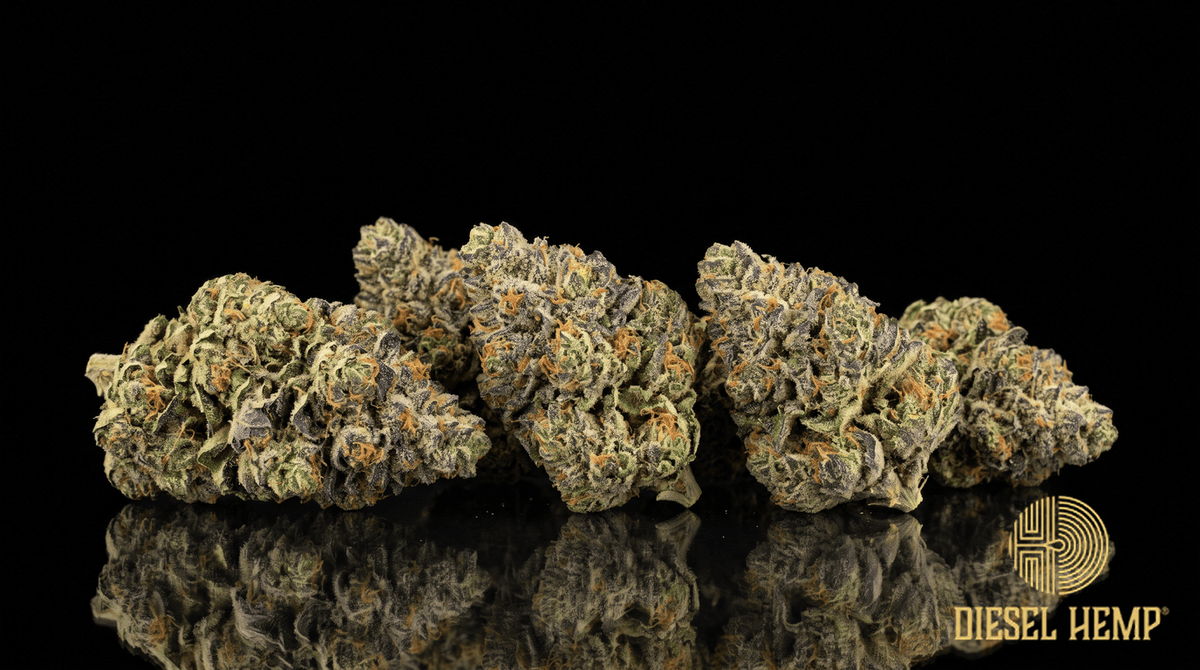 Blue Zushi strain cannabis buds in forest green with blue-violet hues, orange pistils and heavy trichome frost on a black background | Diesel Hemp