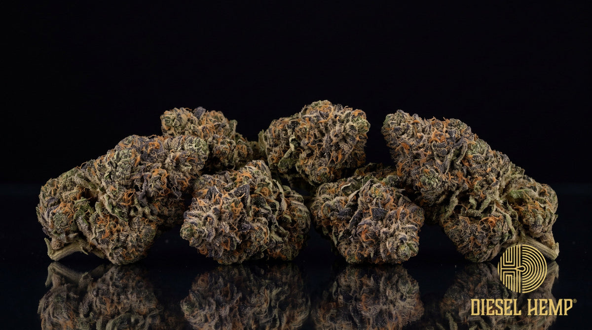 Blueberry Cookies strain cannabis buds in dark olive green with blue-purple hues, orange pistils and heavy trichome frost on a black background | Diesel Hemp