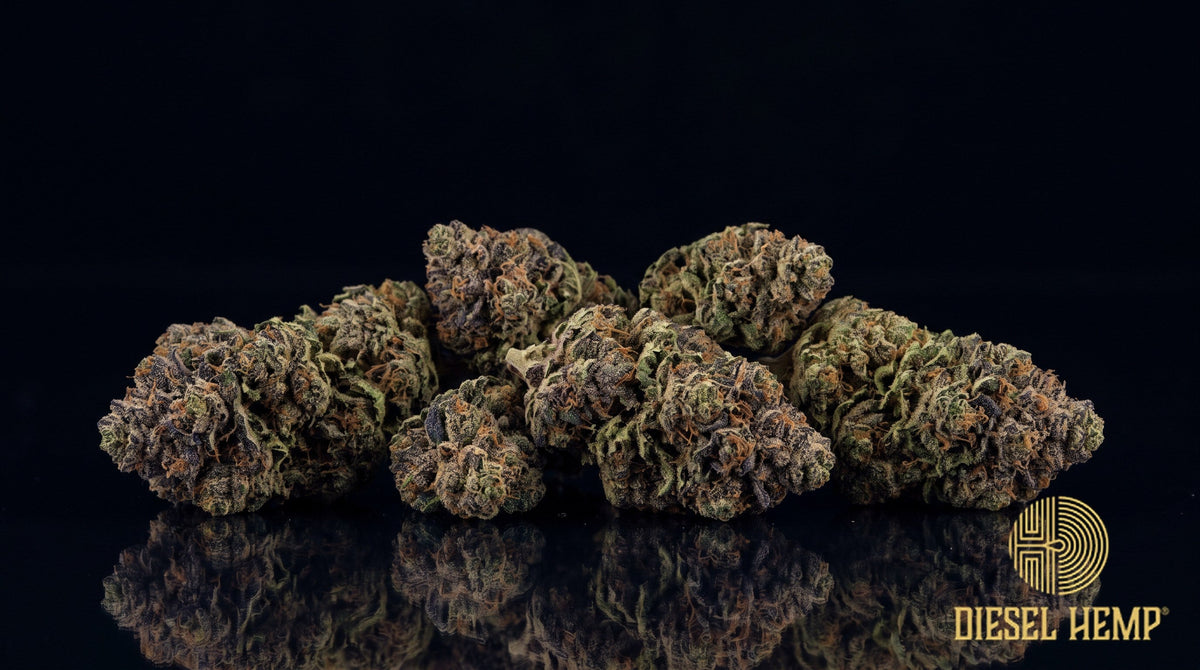 Blueberry Diesel strain cannabis buds, forest green with blue-purple hues, long orange pistils and a sticky trichome coat on a black background | Diesel Hemp