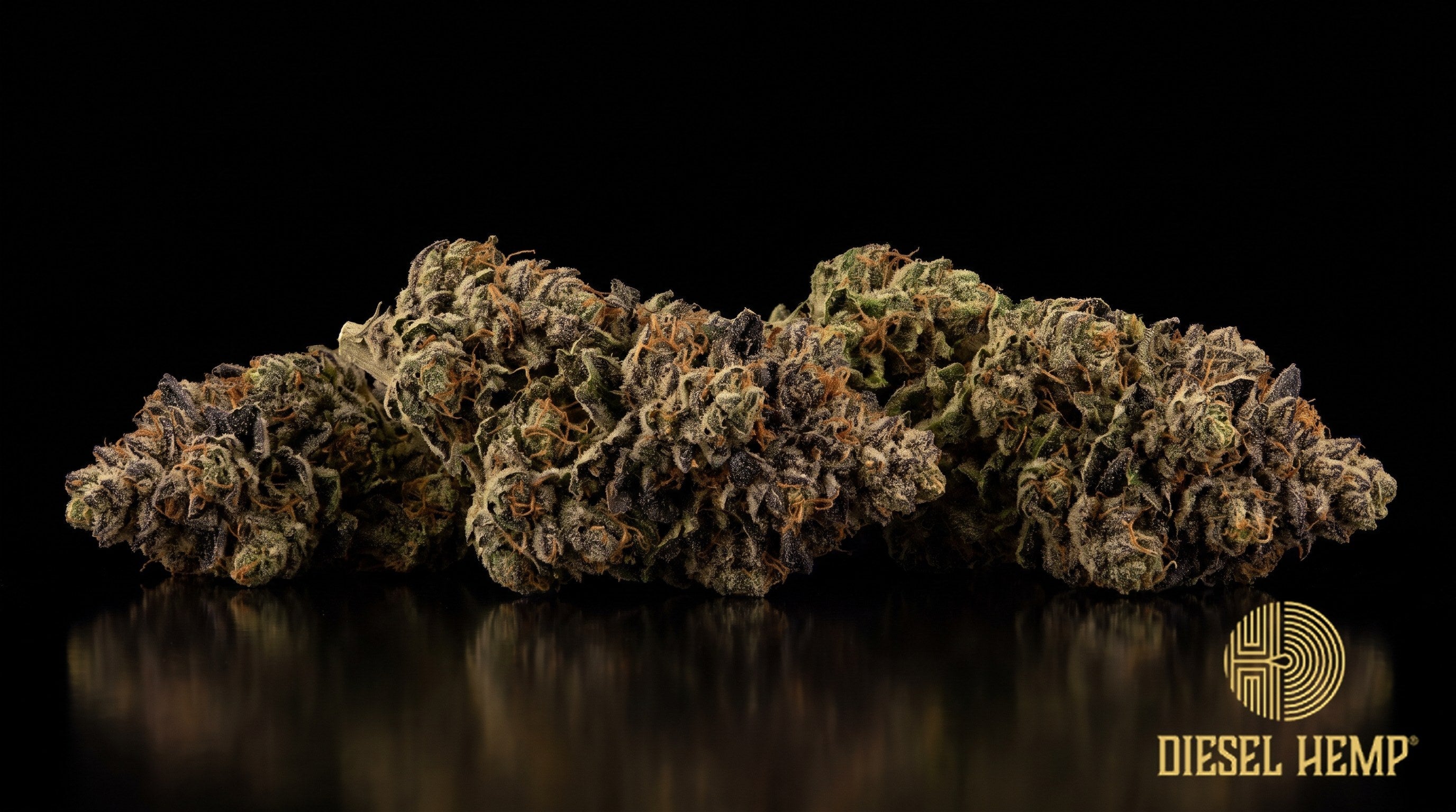Brownie Scout strain cannabis buds in deep forest green with purple flecks, orange-brown pistils and a thick frost of trichomes on a black background | Diesel Hemp