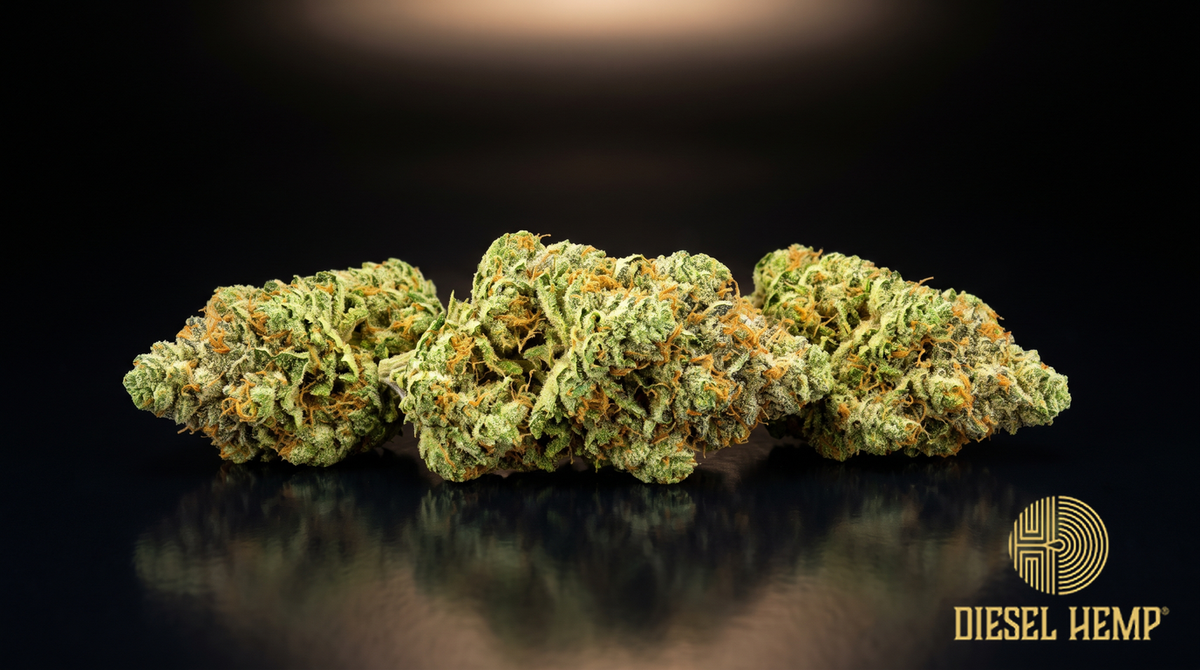 Bruce Banner strain cannabis buds in bright lime green with fiery orange pistils and heavy trichome frost on a black background | Diesel Hemp