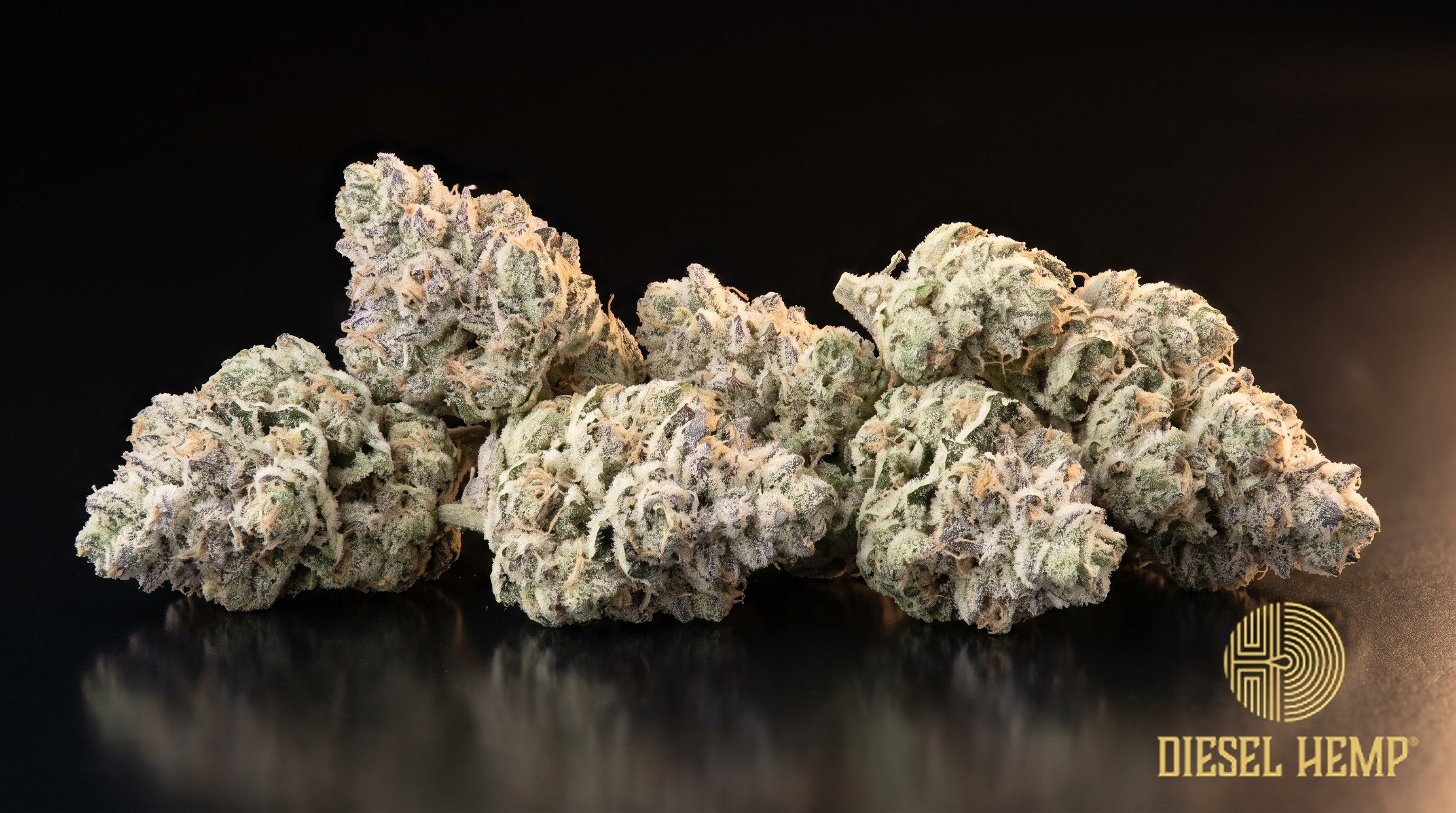 Bubble Bath strain cannabis buds in bright neon green with orange pistils and a heavy frost of trichomes on a black background | Diesel Hemp