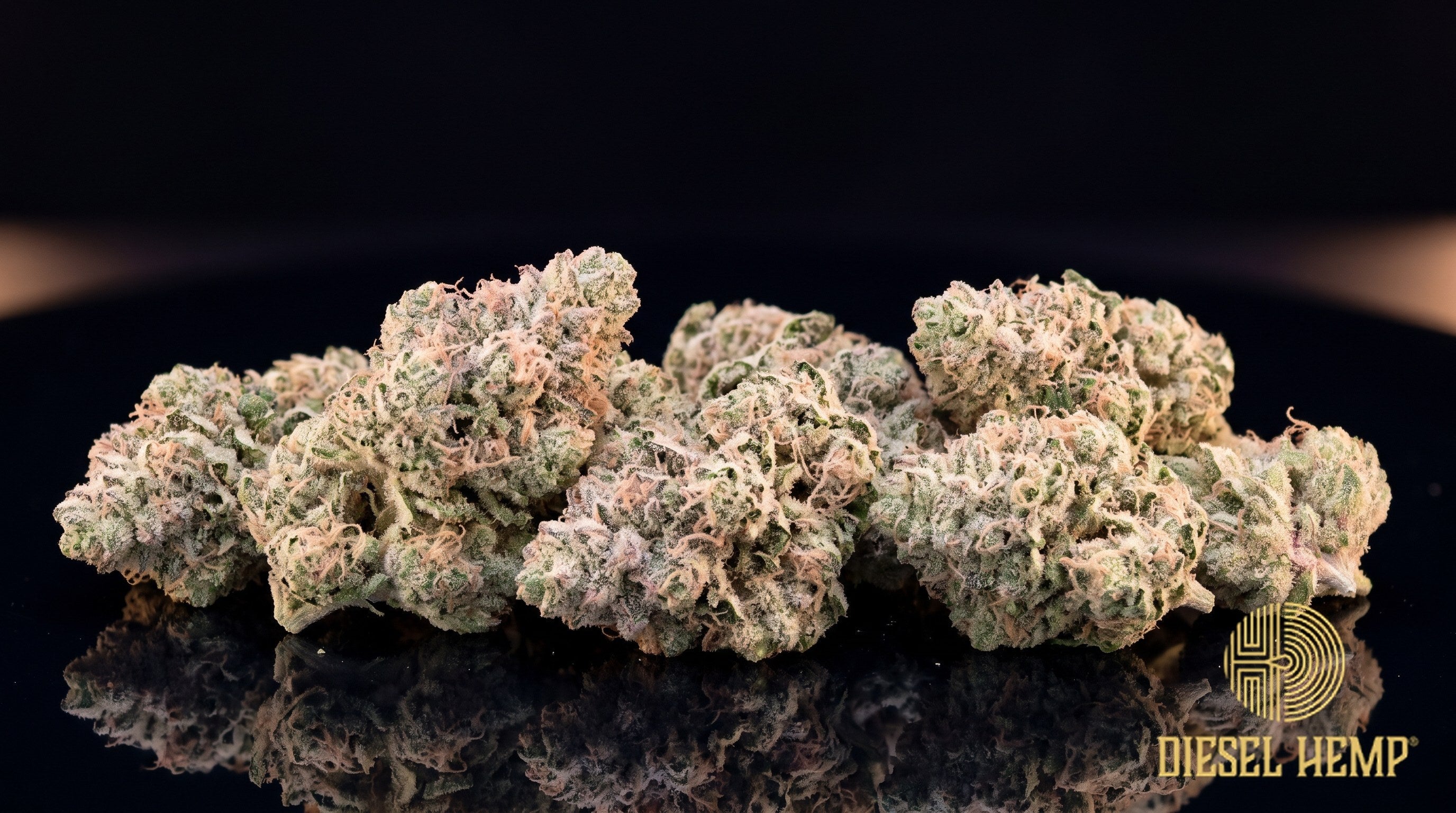 Bubble Gum Runtz strain cannabis buds in deep green with purple undertones, orange pistils and a heavy trichome frost on a black background | Diesel Hemp
