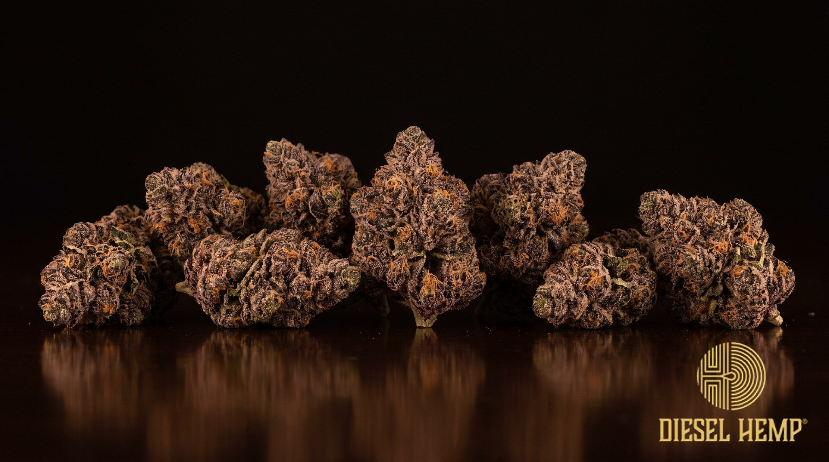 Candy Fumez strain cannabis buds in minty green with purple hues, thin orange pistils and a heavy coat of frosty trichomes on a black background | Diesel Hemp