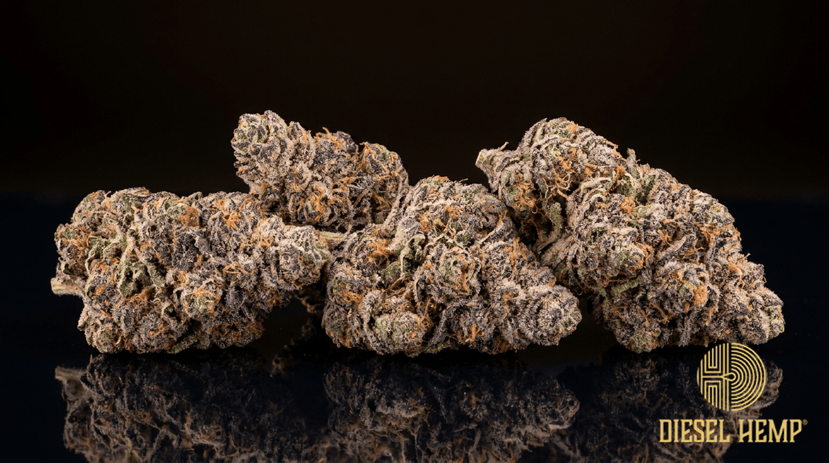 Candy Gas strain cannabis flower buds on black background — frosty purple and green candy-looking nugs | Diesel Hemp