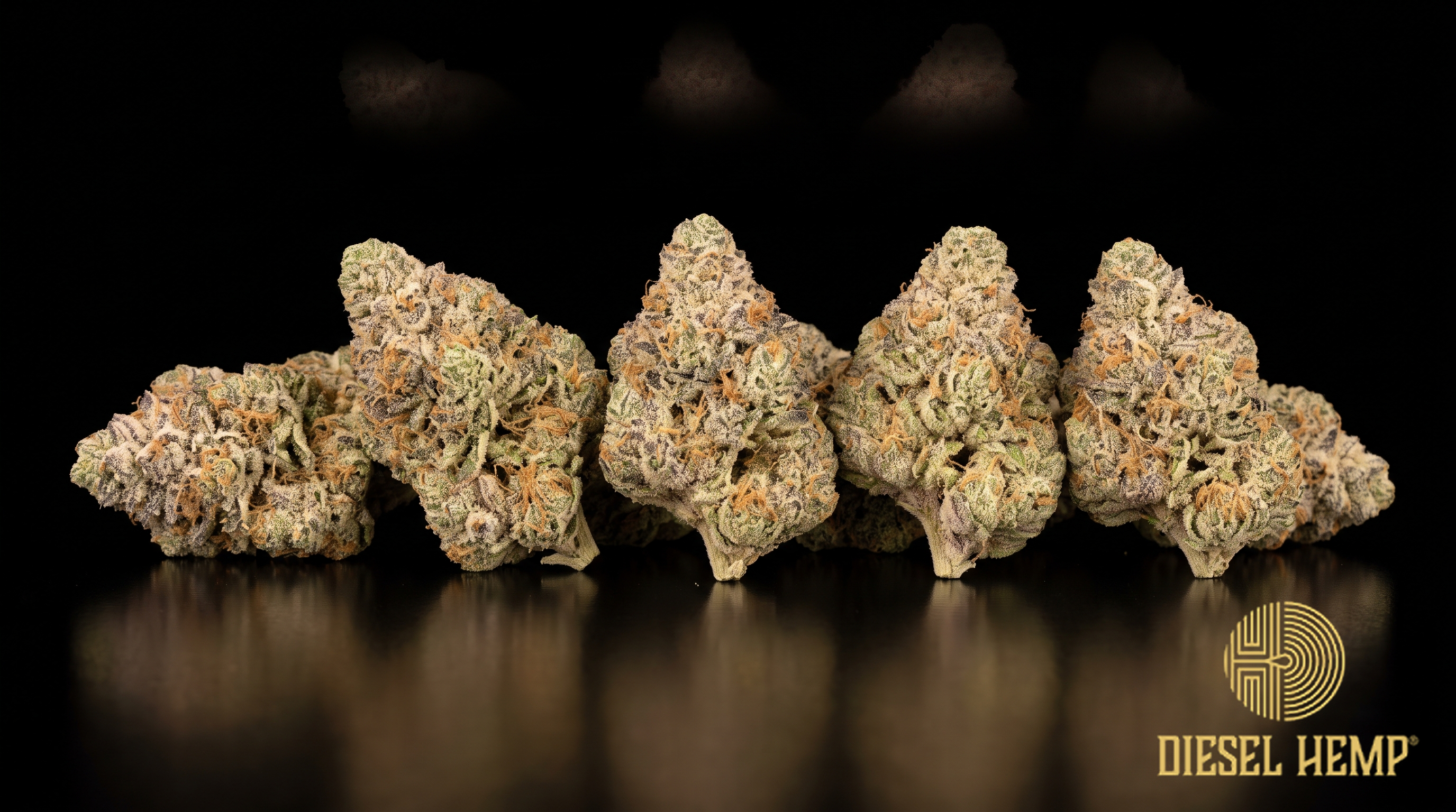 Cereal Milk strain cannabis flower buds in olive green with frosty white trichomes on a black background | Diesel Hemp