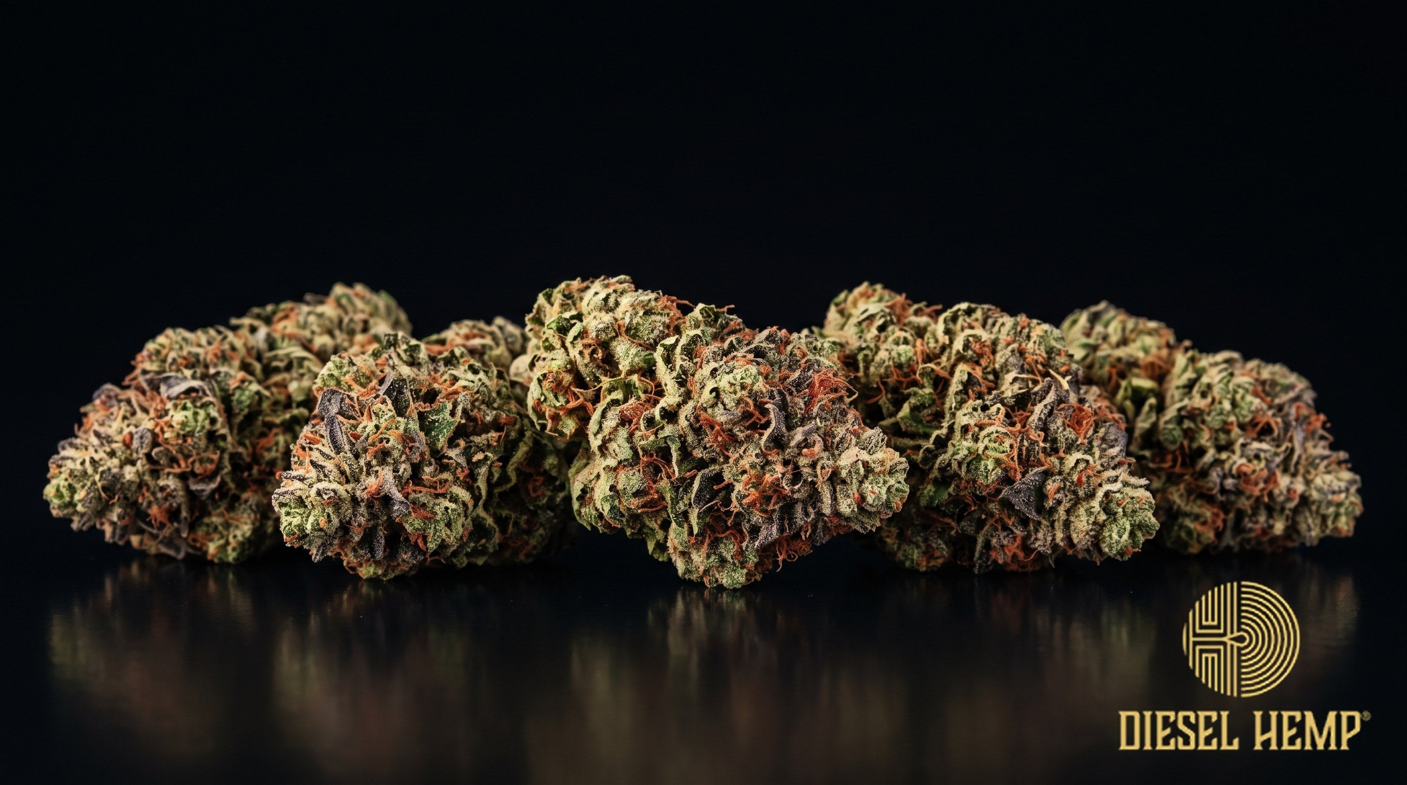 Cherry Bomb strain cannabis buds in light green with orange pistils and heavy trichome frost on a black background | Diesel Hemp