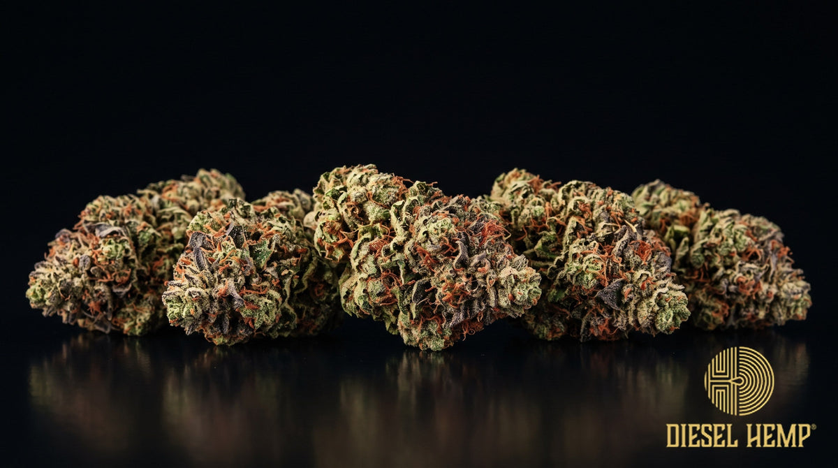 Cherry Bomb strain cannabis buds in light green with orange pistils and heavy trichome frost on a black background | Diesel Hemp