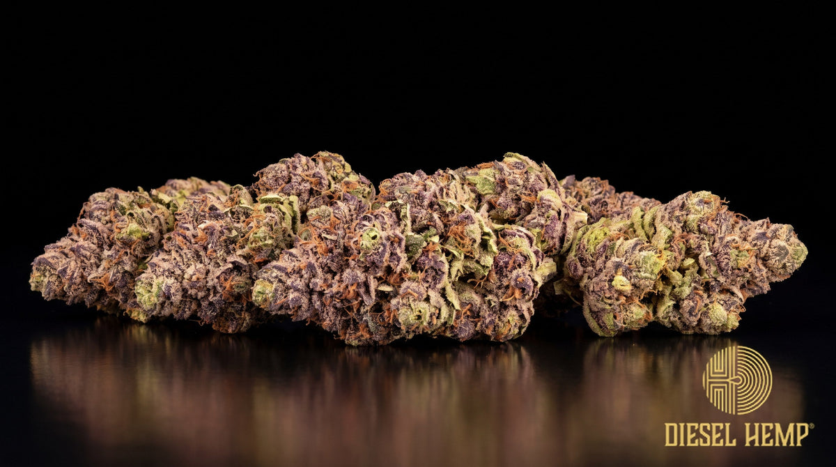 Cherry Runtz strain cannabis buds in deep green with purple streaks, orange pistils and heavy white trichome frost on a black background | Diesel Hemp