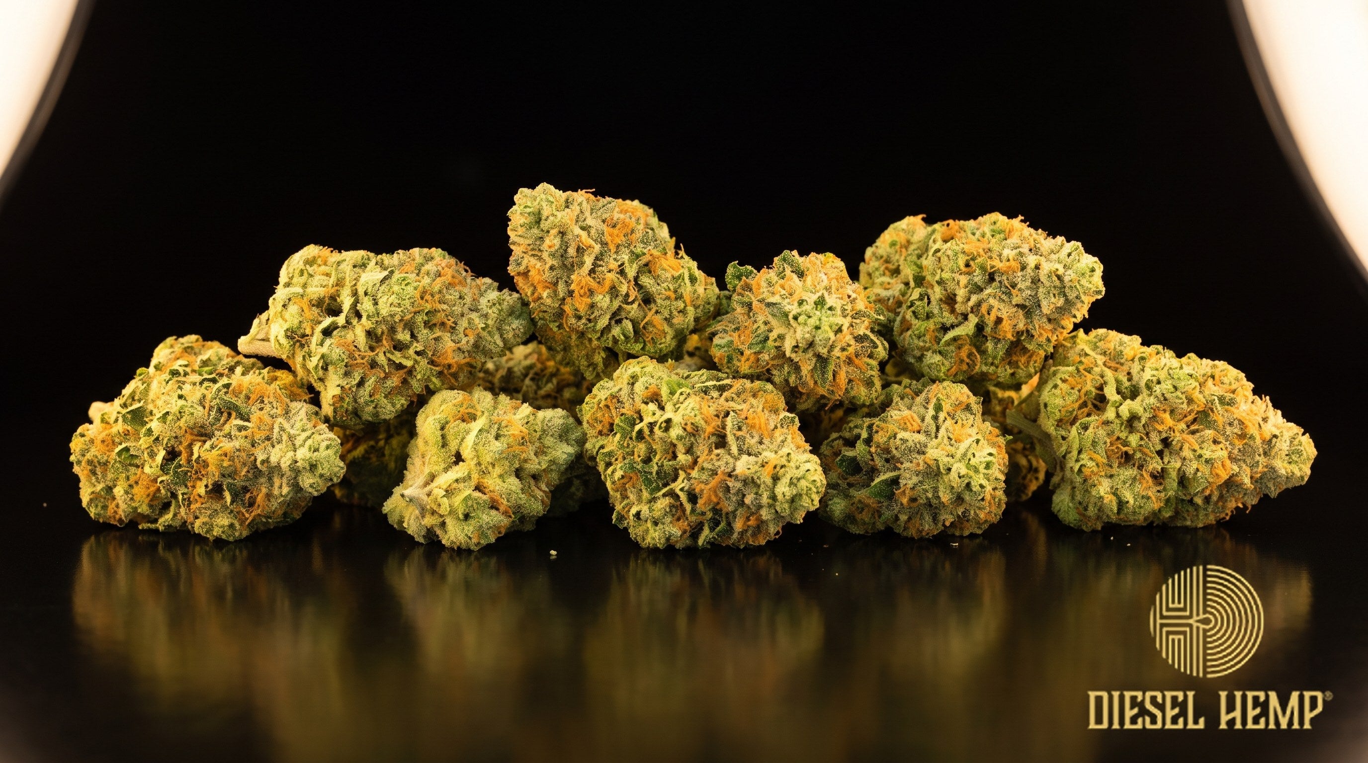 Clementine strain cannabis buds in bright yellow-green with fiery orange pistils and heavy trichome frost on a black background | Diesel Hemp
