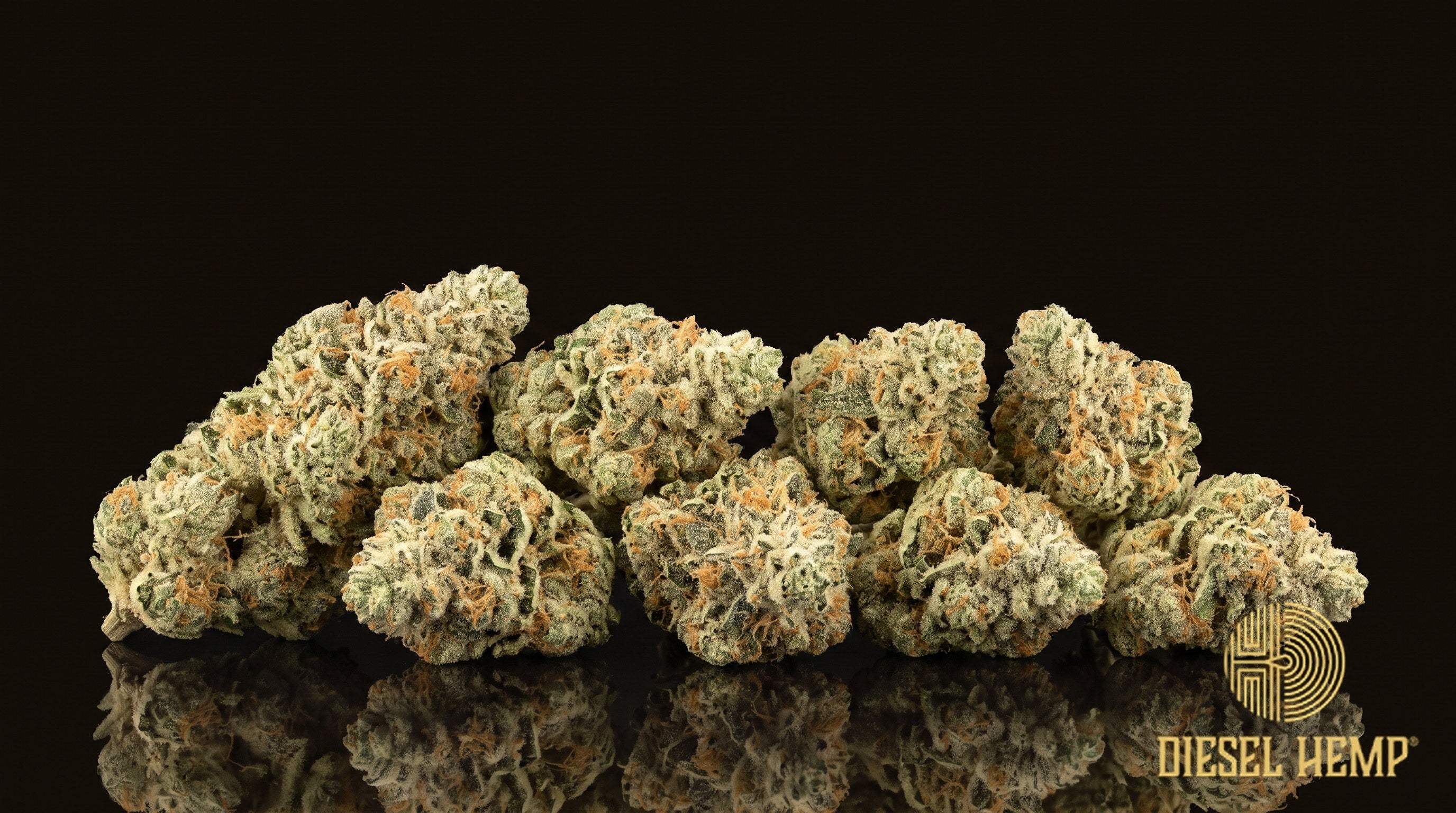 Cookies and Cream strain cannabis buds in light mint green coated in thick milky-white trichomes with bright orange pistils on a black background | Diesel Hemp