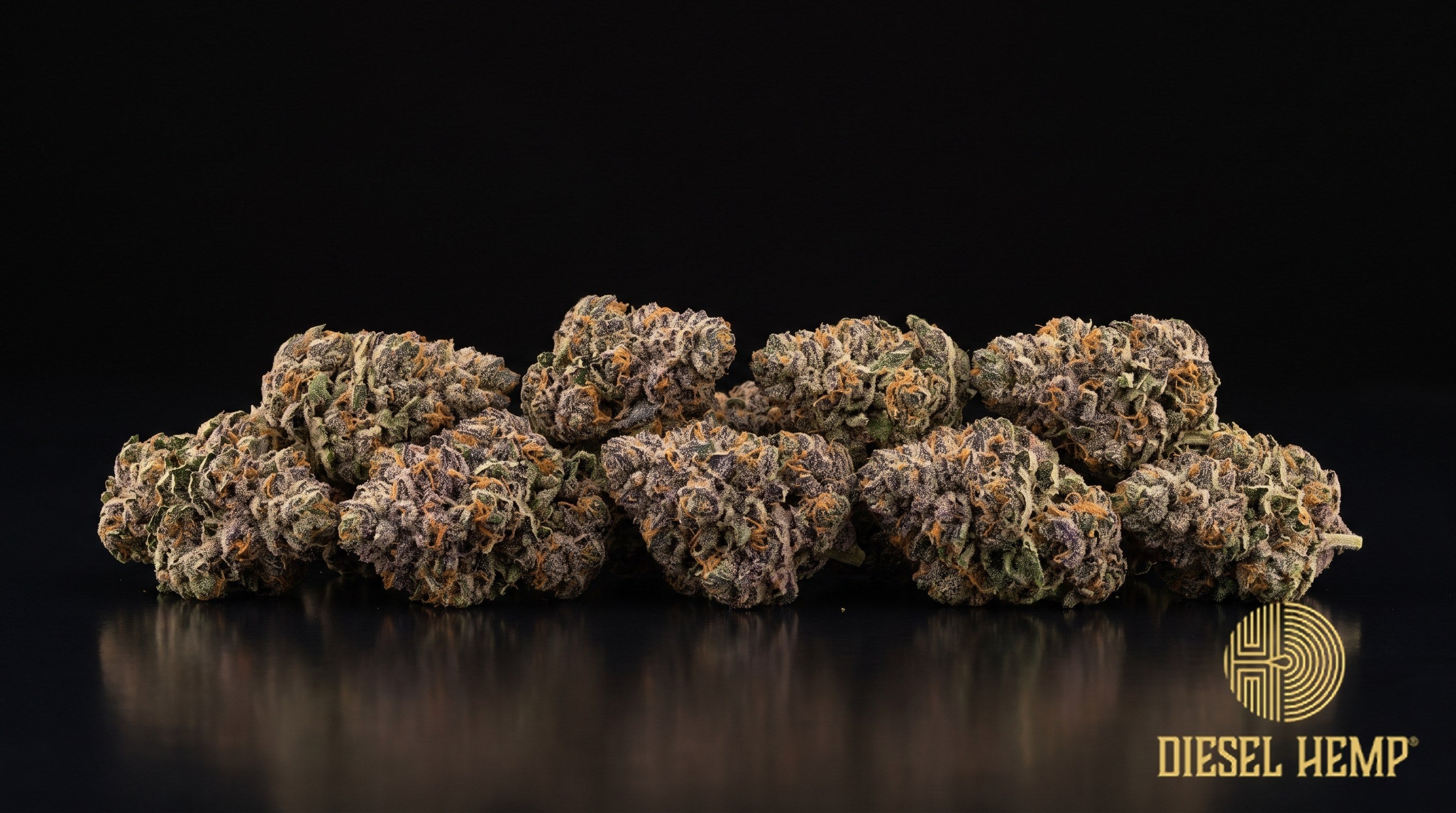 Cosmic Runtz strain cannabis buds in deep green fading to violet-purple with heavy silver-white trichome frost on a black background | Diesel Hemp