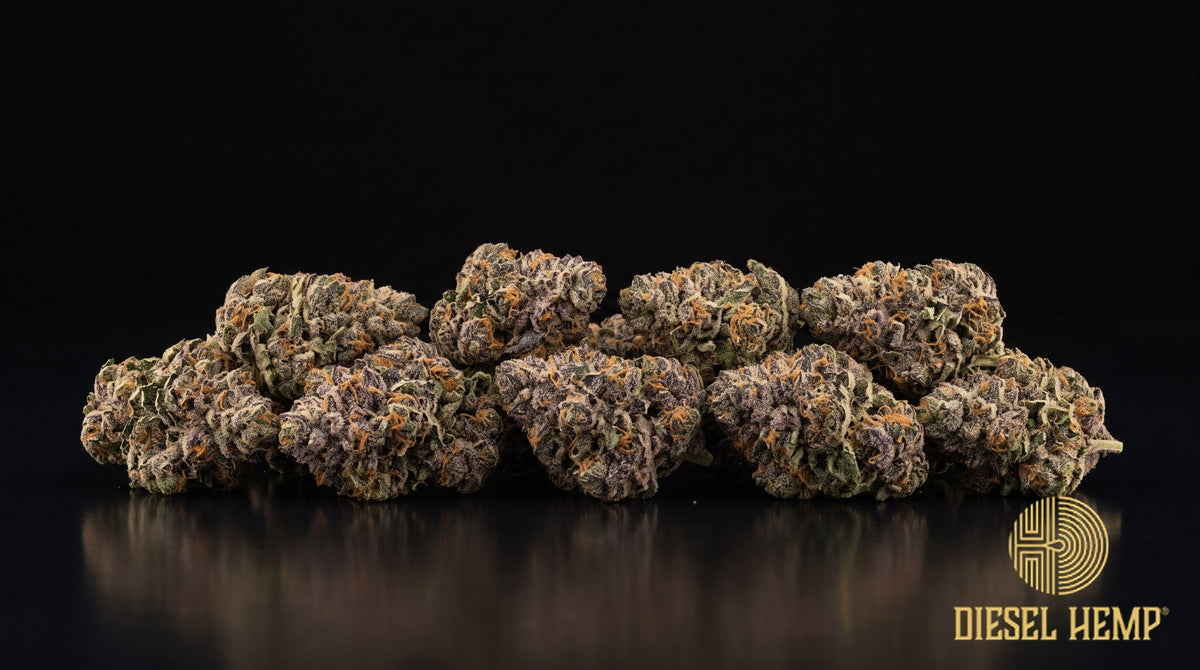 Cosmic Runtz strain cannabis buds in deep green fading to violet-purple with heavy silver-white trichome frost on a black background | Diesel Hemp
