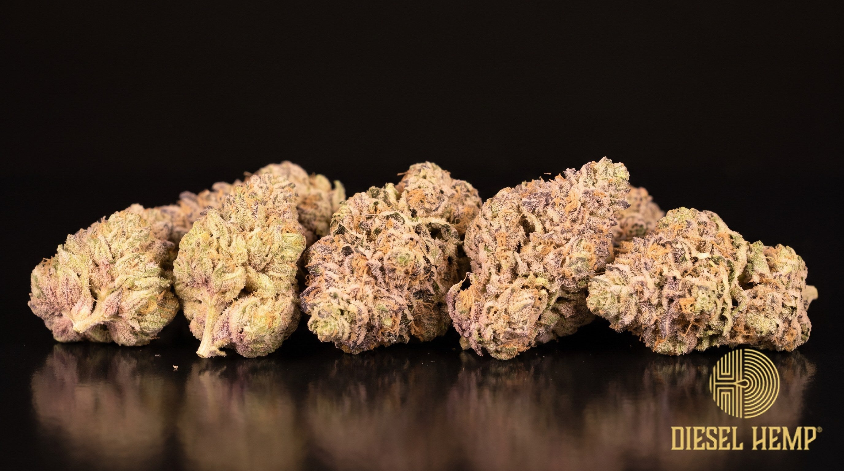 Cotton Candy strain cannabis buds, long foxtail-shaped light-green colas with orange pistils, lavender hints and a sugary trichome frost on a black background | Diesel Hemp