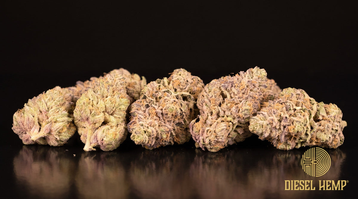 Cotton Candy strain cannabis buds, long foxtail-shaped light-green colas with orange pistils, lavender hints and a sugary trichome frost on a black background | Diesel Hemp